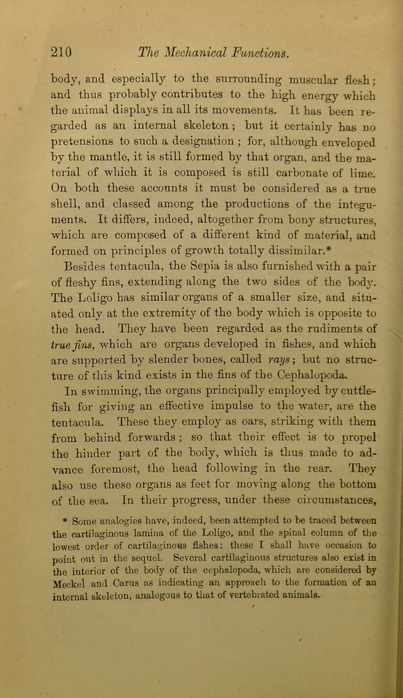 body, and especially to the surrounding muscular flesh; and thus probably contributes to the high energy which the animal displays in all its movements. It has been re- garded as an internal skeleton ; but it certainly has no pretensions to such a designation ; for, although enveloped by the mantle, it is still formed by that organ, and the ma- terial of which it is composed is still carbonate of lime. On both these accounts it must be considered as a true shell, and classed among the productions of the integu- ments. It differs, indeed, altogether from bony structures, which are composed of a different kind of material, and formed on principles of growth totally dissimilar.* Besides tentacula, the Sepia is also furnished with a pair of fleshy fins, extending along the two sides of the body. The Loligo has similar organs of a smaller size, and situ- ated only at the extremity of the body which is opposite to the head. They have been regarded as the rudiments of true fins, which are organs developed in fishes, and which are supported by slender bones, called rays; but no struc- ture of this kind exists in the fins of the Cephalopoda. In swimming, the organs principally employed by cuttle- fish for giving an effective impulse to the water, are the tentacula. These they employ as oars, striking with them from behind forwards ; so that their effect is to propel the hinder part of the body, which is thus made to ad- vance foremost, the head following in the rear. They also use these organs as feet for moving along the bottom of the sea. In their progress, under these circumstances, * Some analogies have, indeed, been attempted to he traced between the cartilaginous lamina of the Loligo, and the spinal column of the lowest order of cartilaginous fishes: these I shall have occasion to point out in the sequel. Several cartilaginous structures also exist in the interior of the body of the cephalopoda, which are considered by Meckel and Carus as indicating an approach to the formation of an internal skeleton, analogous to that of vertebiated animals.