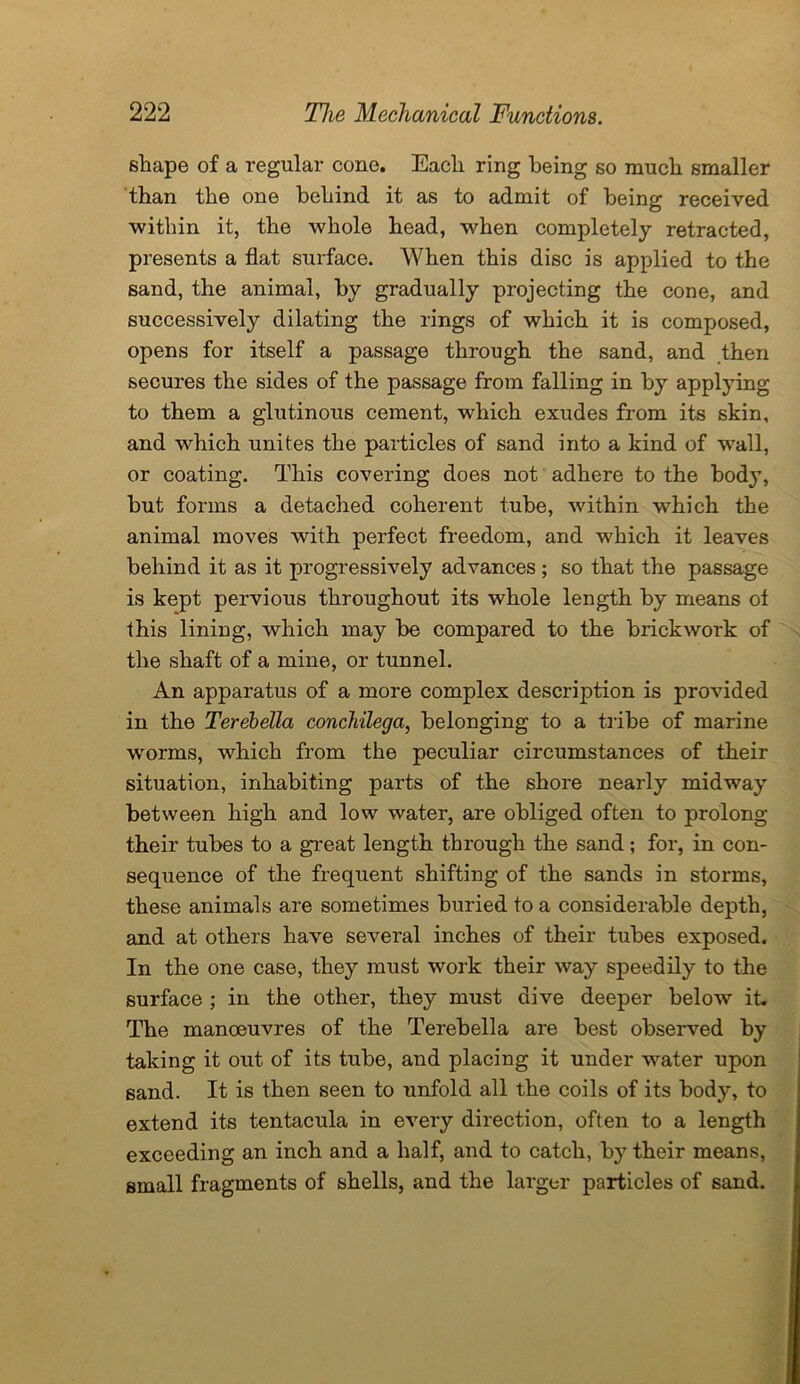 shape of a regular cone. Each ring being so much smaller than the one behind it as to admit of being received within it, the whole head, when completely retracted, presents a flat surface. When this disc is applied to the sand, the animal, by gradually projecting the cone, and successively dilating the rings of which it is composed, opens for itself a passage through the sand, and then secures the sides of the passage from falling in by applying to them a glutinous cement, which exudes from its skin, and which unites the particles of sand into a kind of wall, or coating. This covering does not adhere to the body, but forms a detached coherent tube, within which the animal moves with perfect freedom, and which it leaves behind it as it progressively advances; so that the passage is kept pervious throughout its whole length by means of this lining, which may be compared to the brickwork of the shaft of a mine, or tunnel. An apparatus of a more complex description is provided in the Terebella concliilega, belonging to a tribe of marine worms, which from the peculiar circumstances of their situation, inhabiting parts of the shore nearly midway between high and low water, are obliged often to prolong their tubes to a great length through the sand; for, in con- sequence of the frequent shifting of the sands in storms, these animals are sometimes buried to a considerable depth, and at others have several inches of their tubes exposed. In the one case, they must work their way speedily to the surface ; in the other, they must dive deeper below it. The manoeuvres of the Terebella are best observed by taking it out of its tube, and placing it under water upon sand. It is then seen to unfold all the coils of its body, to extend its tentacula in every direction, often to a length exceeding an inch and a half, and to catch, by their means, small fragments of shells, and the larger particles of sand.