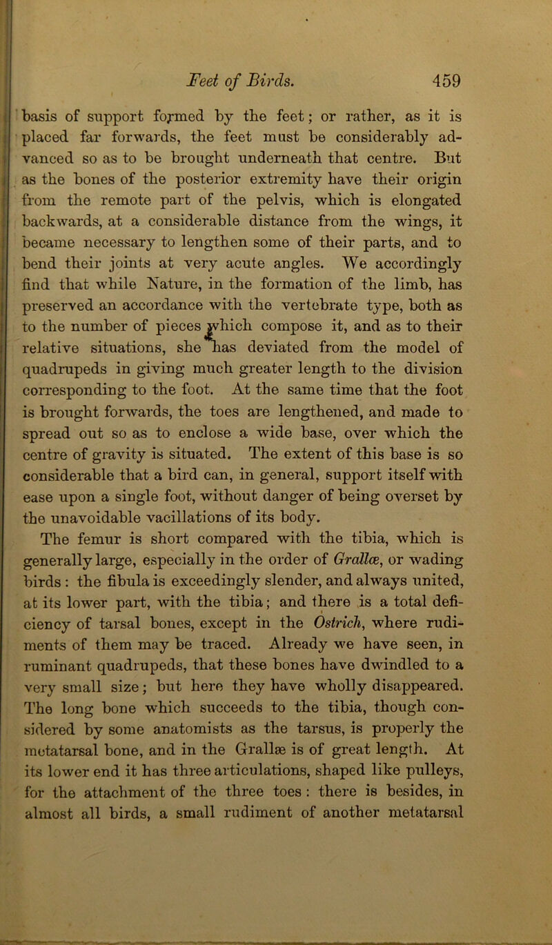 basis of support formed by the feet; or rather, as it is placed far forwards, the feet mast be considerably ad- vanced so as to be brought underneath that centre. But as the bones of the posterior extremity have their origin from the remote part of the pelvis, which is elongated backwards, at a considerable distance from the wings, it became necessary to lengthen some of their parts, and to bend their joints at very acute angles. We accordingly find that while Nature, in the formation of the limb, has preserved an accordance with the vertebrate type, both as to the number of pieces which compose it, and as to their relative situations, she lias deviated from the model of quadrupeds in giving much greater length to the division corresponding to the foot. At the same time that the foot is brought forwards, the toes are lengthened, and made to spread out so as to enclose a wide base, over which the centre of gravity is situated. The extent of this base is so considerable that a bird can, in general, support itself with ease upon a single foot, without danger of being overset by the unavoidable vacillations of its body. The femur is short compared with the tibia, which is generally large, especially in the order of Grallce, or wading birds : the fibula is exceedingly slender, and always united, at its lower part, with the tibia; and there is a total defi- ciency of tarsal bones, except in the Ostrich, where rudi- ments of them may be traced. Already we have seen, in ruminant quadrupeds, that these bones have dwindled to a very small size; but here they have wholly disappeared. The long bone which succeeds to the tibia, though con- sidered by some anatomists as the tarsus, is properly the metatarsal bone, and in the Grallse is of great length. At its lower end it has three articulations, shaped like pulleys, for the attachment of the three toes : there is besides, in almost all birds, a small rudiment of another metatarsal