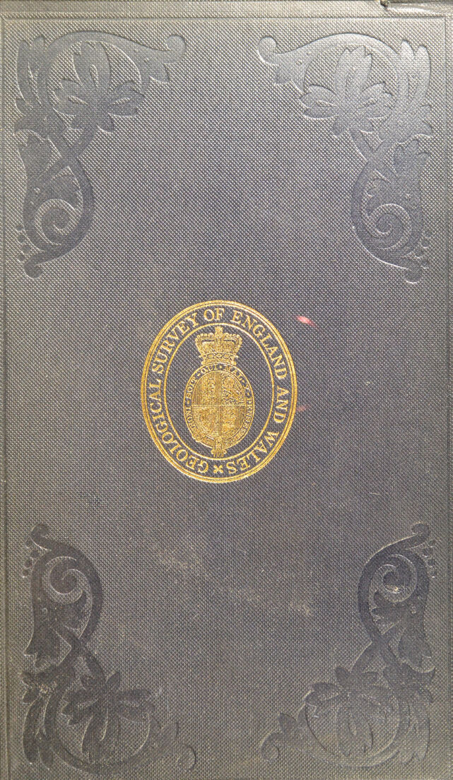 No text description is available for this image