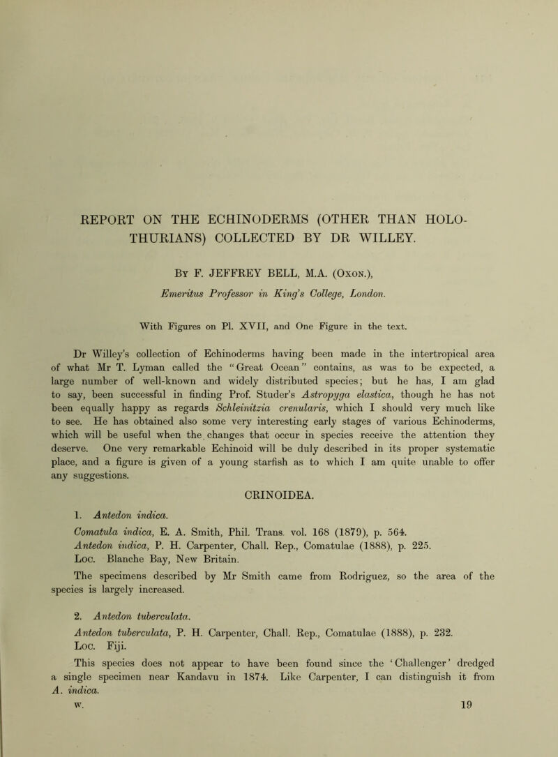 THURIANS) COLLECTED BY DR WILLEY. By F. JEFFREY BELL, M.A. (Oxon.), Emeritus Professor in King’s College, London. With Figures on PI. XVII, and One Figure in the text. Dr Willey’s collection of Echinoderms having been made in the intertropical area of what Mr T. Lyman called the “ Great Ocean ” contains, as was to be expected, a large number of well-known and widely distributed species; but he has, I am glad to say, been successful in finding Prof. Studer’s Astropygci elastica, though he has not been equally happy as regards Schleinitzia crenularis, which I should very much like to see. He has obtained also some very interesting early stages of various Echinoderms, which will be useful when the changes that occur in species receive the attention they deserve. One very remarkable Echinoid will be duly described in its proper systematic place, and a figure is given of a young starfish as to which I am quite unable to offer any suggestions. CRINOIDEA. 1. Antedon indica. Comatula indica, E. A. Smith, Phil. Trans, vol. 168 (1879), p. 564. Antedon indica, P. H. Carpenter, Chall. Rep., Comatulae (1888), p. 225. Loc. Blanche Bay, New Britain. The specimens described by Mr Smith came from Rodriguez, so the area of the species is largely increased. 2. Antedon tuberculata. Antedon tuberculata, P. H. Carpenter, Chall. Rep., Comatulae (1888), p. 232. Loc. Fiji. This species does not appear to have been found since the ‘ Challenger ’ dredged a single specimen near Kandavu in 1874. Like Carpenter, I can distinguish it from A. indica.