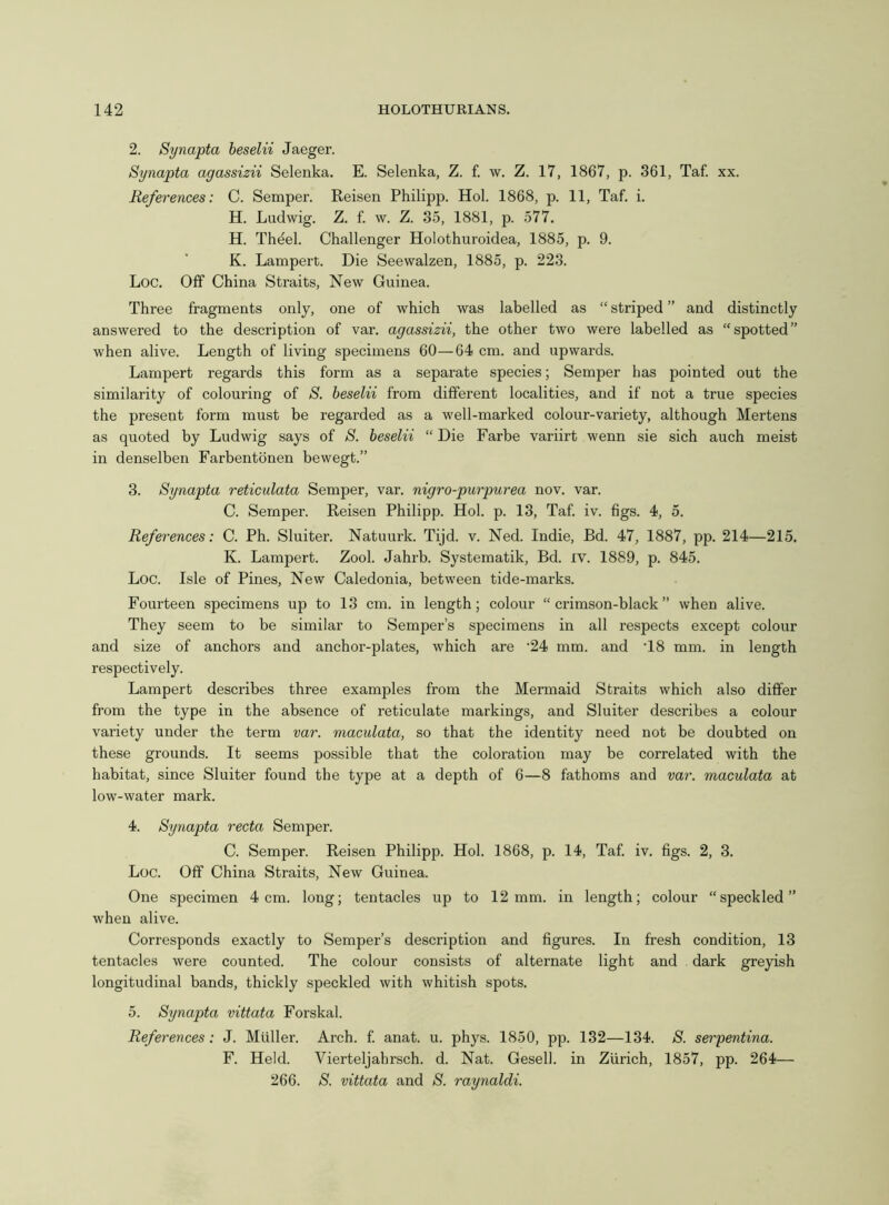 2. Synapta beselii Jaeger. Synapta agassizii Selenka. E. Selenka, Z. f. w. Z. 17, 1867, p. 361, Taf. xx. References: C. Semper. Reisen Philipp. Hoi. 1868, p. 11, Taf. i. H. Ludwig. Z. f. w. Z. 35, 1881, p. 577. H. Thdel. Challenger Holothuroidea, 1885, p. 9. K. Lampert. Die Seewalzen, 1885, p. 223. Loc. Off China Straits, New Guinea. Three fragments only, one of which was labelled as “ striped ” and distinctly answered to the description of var. agassizii, the other two were labelled as “spotted” when alive. Length of living specimens 60—64 cm. and upwards. Lampert regards this form as a separate species; Semper has pointed out the similarity of colouring of S. beselii from different localities, and if not a true species the present form must be regarded as a well-marked colour-variety, although Mertens as quoted by Ludwig says of S. beselii “ Die Farbe variirt wenn sie sich auch meist in denselben Farbentonen bewegt.” 3. Synapta reticulata Semper, var. nigro-purpurea nov. var. C. Semper. Reisen Philipp. Hoi. p. 13, Taf. iv. figs. 4, 5. References: C. Ph. Sluiter. Natuurk. Tijd. v. Ned. Indie, Bd. 47, 1887, pp. 214—215. K. Lampert. Zool. Jahrb. Systematik, Bd. IV. 1889, p. 845. Loc. Isle of Pines, New Caledonia, between tide-marks. Fourteen specimens up to 13 cm. in length; colour “crimson-black” when alive. They seem to be similar to Semper’s specimens in all respects except colour and size of anchors and anchor-plates, which are ‘24 mm. and T8 mm. in length respectively. Lampert describes three examples from the Mermaid Straits which also differ from the type in the absence of reticulate markings, and Sluiter describes a colour variety under the term var. maculata, so that the identity need not be doubted on these grounds. It seems possible that the coloration may be correlated with the habitat, since Sluiter found the type at a depth of 6—8 fathoms and var. maculata at low-water mark. 4. Synapta recta Semper. C. Semper. Reisen Philipp. Hoi. 1868, p. 14, Taf. iv. figs. 2, 3. Loc. Off China Straits, New Guinea. One specimen 4cm. long; tentacles up to 12mm. in length; colour “speckled” when alive. Corresponds exactly to Semper’s description and figures. In fresh condition, 13 tentacles were counted. The colour consists of alternate light and dark greyish longitudinal bands, thickly speckled with whitish spots. 5. Synapta vittata Forskal. References: J. Muller. Arch. f. anat. u. phys. 1850, pp. 132—134. S. serpentina. F. Held. Vierteljahrsch. d. Nat. Gesell. in Zurich, 1857, pp. 264— 266. S. vittata and S. raynaldi.