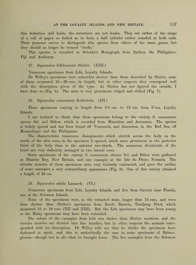 this definition still holds, the structures are not hooks. They are rather of the shape of a roll of paper so folded as to form a half cylinder rather rounded at both ends. Their presence serves to distinguish this species from others of the same genus, but they should no longer be termed “ hooks.” This species is recorded in Selenka’s Monograph, from Sydney, the Philippines, Fiji and Amboyna. 17. Sipunculus billitonensis Sluiter. (XIII.) Numerous specimens from Lifu, Loyalty Islands. Dr Willey’s specimens were somewhat shorter than those described by Sluiter, none of them surpassed 18—20 cms. in length, but in other respects they correspond well with the description given of the type. As Sluiter has not figured the outside, I have done so (Fig. 6). The anus is very prominent, ridged and ribbed (Fig. 7). 18. Sipunculus cumanensis Keferstein. (III.) Three specimens varying in length from 3 5 cm. to 12 cm. from Uvea, Loyalty Islands. I am inclined to think that these specimens belong to the variety S. cumanensis opacus Sel. and Blilow, which is recorded from Mauritius and Ascension. The species is widely spread and has been found off Venezuela, and Ascension, in the Red Sea, off Mozambique and the Philippines. The characteristic transverse dissepiments which stretch across the body on the inside of the skin were, in the specimen I opened, much more prominent in the posterior third of the body than in the anterior two-thirds. The numerous diverticula of the heart are very definitely arranged in two lateral rows. Some specimens of the variety S. cumanensis vitreus Sel. and Billow were gathered at Blanche Bay, New Britain, and one example at the Isle du Phare, Noumea. The circular muscles of these specimens were very violently contracted, and gave the outline of some examples a very extraordinary appearance (Fig. 8). One of this variety attained a length of 20 cm. 19. Sijmnculus edulis Lamarck. (VI.) Numerous specimens from Lifu, Loyalty Islands, and five from Gavutu near Florida, one of the Solomon Islands. None of the specimens were, in the retracted state, longer than 12 cms., and were thus shorter than Sluiter’s specimens from Reede Batavia, Tandjong Priok which measured 15 to 18 cms. (XII and XIII). But the Lifu specimens may have been young or the Malay specimens may have been extended. The colour of the examples from Lifu was darker than Sluiter mentions and the circular muscles are divided into fine bundles, but in other respects the animals corre- sponded with his description. Dr Willey tells me that he thinks the specimens have darkened in spirit, and this is undoubtedly the case in some specimens of Balano- glossus—though not in all—that he brought home. The five examples from the Solomon