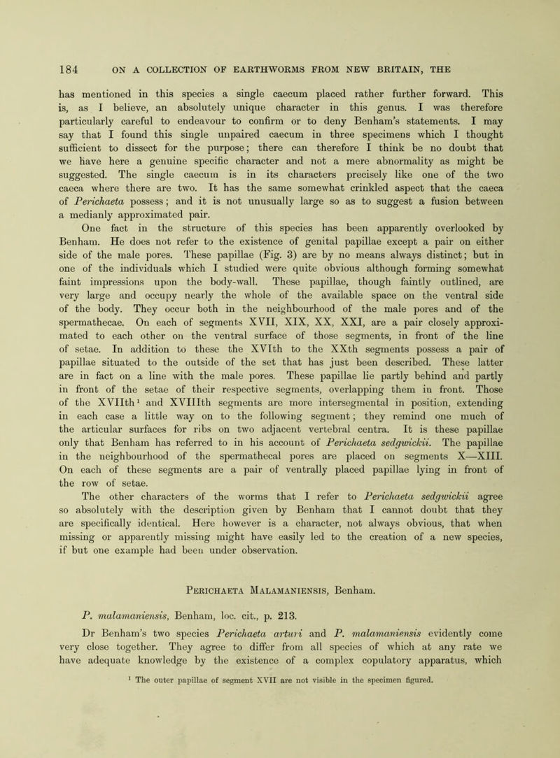 has mentioned in this species a single caecum placed rather further forward. This is, as I believe, an absolutely unique character in this genus. I was therefore particularly careful to endeavour to confirm or to deny Benham’s statements. I may say that I found this single unpaired caecum in three specimens which I thought sufficient to dissect for the purpose; there can therefore I think be no doubt that we have here a genuine specific character and not a mere abnormality as might be suggested. The single caecum is in its characters precisely like one of the two caeca where there are two. It has the same somewhat crinkled aspect that the caeca of Perichaeta possess; and it is not unusually large so as to suggest a fusion between a medianly approximated pair. One fact in the structure of this species has been apparently overlooked by Benhatn. He does not refer to the existence of genital papillae except a pair on either side of the male pores. These papillae (Fig. 3) are by no means always distinct; but in one of the individuals which I studied were quite obvious although forming somewhat faint impressions upon the body-wall. These papillae, though faintly outlined, are very large and occupy nearly the whole of the available space on the ventral side of the body. They occur both in the neighbourhood of the male pores and of the spermathecae. On each of segments XVII, XIX, XX, XXI, are a pair closely approxi- mated to each other on the ventral surface of those segments, in front of the line of setae. In addition to these the XVIth to the XXth segments possess a pair of papillae situated to the outside of the set that has just been described. These latter are in fact on a line with the male pores. These papillae lie partly behind and partly in front of the setae of their respective segments, overlapping them in front. Those of the XVIIth1 and XVIIIth segments are more intersegmental in position, extending in each case a little way on to the following segment; they remind one much of the articular surfaces for ribs on two adjacent vertebral centra. It is these papillae only that Benham has referred to in his account of Perichaeta sedgwickii. The papillae in the neighbourhood of the spermathecal pores are placed on segments X—XIII. On each of these segments are a pair of ventrally placed papillae lying in front of the row of setae. The other characters of the worms that I refer to Perichaeta sedgwickii agree so absolutely with the description given by Benham that I cannot doubt that they are specifically identical. Here however is a character, not always obvious, that when missing or apparently missing might have easily led to the creation of a new species, if but one example had been under observation. Perichaeta Malamaniensis, Benham. P. malamaniensis, Benham, loc. cit., p. 213. Dr Benham’s two species Perichaeta arturi and P. malamaniensis evidently come very close together. They agree to differ from all species of which at any rate we have adequate knowledge by the existence of a complex copulatory apparatus, which 1 The outer papillae of segment XVII are not visible in the specimen figured.