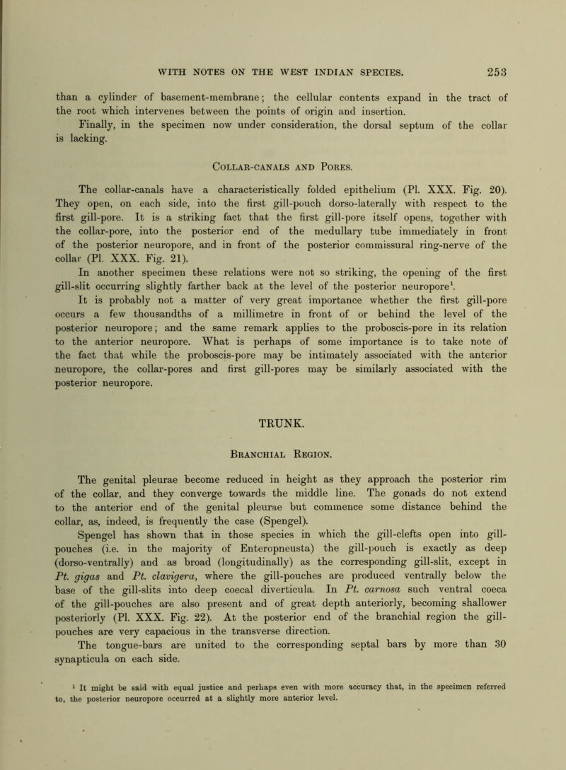 than a cylinder of basement-membrane; the cellular contents expand in the tract of the root which intervenes between the points of origin and insertion. Finally, in the specimen now under consideration, the dorsal septum of the collar is lacking. Collar-canals and Pores. The collar-canals have a characteristically folded epithelium (PI. XXX. Fig. 20). They open, on each side, into the first gill-pouch dorso-laterally with respect to the first gill-pore. It is a striking fact that the first gill-pore itself opens, together with the collar-pore, into the posterior end of the medullary tube immediately in front of the posterior neuropore, and in front of the posterior commissural ring-nerve of the collar (PI. XXX. Fig. 21). In another specimen these relations were not so striking, the opening of the first gill-slit occurring slightly farther back at the level of the posterior neuropore1. It is probably not a matter of very great importance whether the first gill-pore occurs a few thousandths of a millimetre in front of or behind the level of the posterior neuropore; and the same remark applies to the proboscis-pore in its relation to the anterior neuropore. What is perhaps of some importance is to take note of the fact that while the proboscis-pore may be intimately associated with the anterior neuropore, the collar-pores and first gill-pores may be similarly associated with the posterior neuropore. TRUNK. Branchial Region. The genital pleurae become reduced in height as they approach the posterior rim of the collar, and they converge towards the middle line. The gonads do not extend to the anterior end of the genital pleurae but commence some distance behind the collar, as, indeed, is frequently the case (Spengel). Spengel has shown that in those species in which the gill-clefts open into gill- pouches (i.e. in the majority of Enteropneusta) the gill-pouch is exactly as deep (dorso-ventrally) and as broad (longitudinally) as the corresponding gill-slit, except in Pt. gigas and Pt. clavigera, where the gill-pouches are produced ventrally below the base of the gill-slits into deep coecal diverticula. In Pt. carnosa such ventral coeca of the gill-pouches are also present and of great depth anteriorly, becoming shallower posteriorly (PI. XXX. Fig. 22). At the posterior end of the branchial region the gill- pouches are very capacious in the transverse direction. The tongue-bars are united to the corresponding septal bars by more than 30 synapticula on each side. 1 It might be said with equal justice and perhaps even with more accuracy that, in the specimen referred to, the posterior neuropore occurred at a slightly more anterior level.