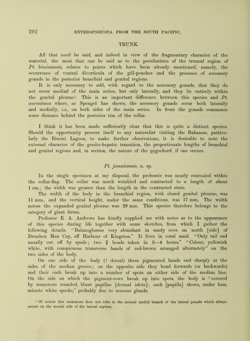 TRUNK. All that need be said, and indeed in view of the fragmentary character of the material, the most that can be said as to the peculiarities of the truncal region of Pt. biminiensis, relates to points which have been already mentioned, namely, the occurrence of ventral diverticula of the gill-pouches and the presence of accessory gonads in the posterior branchial and genital regions. It is only necessary to add, with regard to the accessory gonads, that they do not occur mediad of the main series, but only laterally, and they lie entirely within the genital pleurae1. This is an important difference between this species and Pt. aurantiaca where, as Spengel has shown, the accessory gonads occur both laterally and medially, i.e., on both sides of the main series. In front the gonads commence some distance behind the posterior rim of the collar. I think it has been made sufficiently clear that this is quite a distinct species. Should the opportunity present itself to any naturalist visiting the Bahamas, particu- larly the Bimini Lagoon, to make further observations, it is desirable to note the external character of the genito-hepatic transition, the proportionate lengths of branchial and genital regions and, in section, the nature of the pygochord, if one occurs. Pt. jamaicensis, n. sp. In the single specimen at my disposal, the proboscis was nearly concealed within the collar-flap. The collar was much wrinkled and contracted to a length of about I cm.; the width was greater than the length in the contracted state. The width of the body in the branchial region, with closed genital pleurae, was II mm., and the vertical height, under the same conditions, was 17 mm. The width across the expanded genital pleurae was 29 mm. This species therefore belongs to the category of giant forms. Professor E. A. Andrews has kindly supplied me with notes as to the appearance of this species during life together with some sketches, from which I gather the following details. “ Balanoglossus very abundant in sandy cove on north [side] of Drunken Man Cay, off Harbour of Kingston.” It lives in coral sand. “ Only tail end usually cut off by spade; two $ heads taken in 3—4 hours.” “ Colour, yellowish white, with conspicuous transverse bands of red-brown arranged alternately” on the two sides of the body. On one side of the body (? dorsal) these pigmented bands end sharply at the sides of the median groove; on the opposite side they bend forwards (or backwards) and their ends break up into a number of spots on either side of the median line. On the side on which the pigment-rows break up into spots, the body is “ covered by numerous rounded, blunt papillae [dermal islets]; each [papilla] shows, under lens, minute white specks,” probably due to mucous glands. 1 Of course this statement does not refer to the normal medial branch of the lateral gonads which always occurs on the mesial side of the lateral septum.