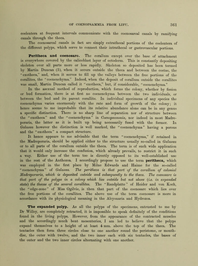 coelentera at frequent intervals communicate with the coenosarcal canals by ramifying canals through the theca. The coenosarcal canals in fact are simply extrathecal portions of the coelentera of the different polyps, which serve to connect their intrathecal or gastrovascular portions. Peritheca and coenosarc. The corallum except over the base of attachment is everywhere covered by the calicoblast layer of ectoderm. This is constantly depositing skeleton over all parts more or less rapidly. Skeleton so deposited has been termed by Martin Duncan (5), when it occurs outside the theca and between the costae, the “exotheca,” and, when it serves to fill up the valleys between the free portions of the corallites, the “ coenenchyma.” Indeed, when the deposit of corallum outside the corallites was small, Martin Duncan called it “exotheca,” but, if considerable, “coenenchyma.” In the asexual method of reproduction, which forms the colony, whether by fission or bud formation, there is at first no coenenchyma between the two individuals, or between the bud and its parent corallite. In individual specimens of any species the coenenchyma varies enormously with the rate and form of growth of the colony; it hence seems to me improbable that its relative abundance alone can be in any genus a specific distinction. There is no sharp line of separation nor of structure between the “exotheca” and the “coenenchyma” in Coenopsammia, nor indeed in most Madre- poraria, the latter as it is built up being necessarily fused with the former. In Galaxea however the distinction is well marked, the “coenenchyma” having a porous and the “exotheca” a compact structure. It hence appears to me advisable that the term “coenenchyma,” if retained in the Madreporaria, should be applied either to the structure usually so-called in Galaxea or to all parts of the corallum outside the theca. The term is of such wide application that it would only increase the confusion, which already prevails, to restrict it in such a way. Either use of the term too is directly opposed to its well-established use in the rest of the Anthozoa. I accordingly propose to use the term peritheca, which was employed in the first place by Milne Edwards and Haime for the so-called “coenenchyma” of Galaxea. The peritheca is that part of the corallum of colonial Madreporaria, which is deposited outside and subsequently to the theca. The coenosarc is that part of the polyps in a colony which lies outside hut not above (i.e. in expanded state) the thecae of the several corallites. The “ Randplatte ” of Heider and von Koch, the “edge-zone” of Miss Ogilvie, is then that part of the coenosarc which lies over the free portions of the corallites. The above use of the term coenosarc is more in accordance with its physiological meaning in the Alcyonaria and Hydrozoa. The expanded polyp. As all the polyps of the specimens, entrusted to me by Dr Willey, are completely retracted, it is impossible to speak definitely of the conditions found in the living polyps. However, from the appearance of the contracted muscles and the accordingly much bent mesenteries, I am led to believe that the polyps expand themselves to a height of at least 4 mm. above the top of the theca. The tentacles then form three circles close to one another round the peristome, or mouth- disc, the outer with twelve, and the two inner each with six tentacles, the bases of the outer and the two inner circles alternating with one another.