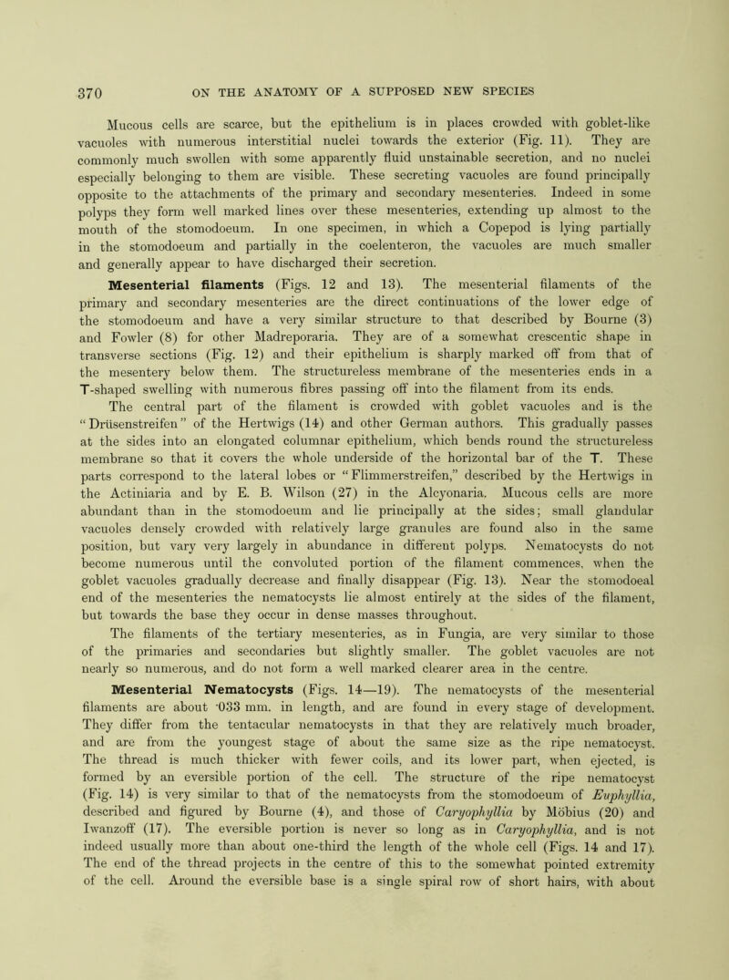 Mucous cells are scarce, but the epithelium is in places crowded with goblet-like vacuoles with numerous interstitial nuclei towards the exterior (Fig. 11). They are commonly much swollen with some apparently fluid unstainable secretion, and no nuclei especially belonging to them are visible. These secreting vacuoles are found principally opposite to the attachments of the primary and secondary mesenteries. Indeed in some polyps they form well marked lines over these mesenteries, extending up almost to the mouth of the stomodoeum. In one specimen, in which a Copepod is lying partially in the stomodoeum and partially in the coelenteron, the vacuoles are much smaller and generally appear to have discharged their secretion. Mesenterial filaments (Figs. 12 and 13). The mesenterial filaments of the primary and secondary mesenteries are the direct continuations of the lower edge of the stomodoeum and have a very similar structure to that described by Bourne (3) and Fowler (8) for other Madreporaria. They are of a somewhat crescentic shape in transverse sections (Fig. 12) and their epithelium is sharply marked off from that of the mesentery below them. The structureless membrane of the mesenteries ends in a T-shaped swelling with numerous fibres passing off into the filament from its ends. The central part of the filament is crowded with goblet vacuoles and is the “ Drtisenstreifen ” of the Hertwigs (14) and other German authors. This gradually passes at the sides into an elongated columnar epithelium, which bends round the structureless membrane so that it covers the whole underside of the horizontal bar of the T. These parts correspond to the lateral lobes or “ Flimmerstreifen,” described by the Hertwigs in the Actiniaria and by E. B. Wilson (27) in the Alcyonaria. Mucous cells are more abundant than in the stomodoeum and lie principally at the sides; small glandular vacuoles densely crowded with relatively large granules are found also in the same position, but vary very largely in abundance in different polyps. Nematocysts do not become numerous until the convoluted portion of the filament commences, when the goblet vacuoles gradually decrease and finally disappear (Fig. 13). Near the stomodoeal end of the mesenteries the nematocysts lie almost entirely at the sides of the filament, but towards the base they occur in dense masses throughout. The filaments of the tertiary mesenteries, as in Fungia, are very similar to those of the primaries and secondaries but slightly smaller. The goblet vacuoles are not nearly so numerous, and do not form a well marked clearer area in the centre. Mesenterial Nematocysts (Figs. 14—19). The nematocysts of the mesenterial filaments are about ‘033 mm. in length, and are found in every stage of development. They differ from the tentacular nematocysts in that they are relatively much broader, and are from the youngest stage of about the same size as the rqje nematocyst. The thread is much thicker with fewer coils, and its lower part, when ejected, is formed by an eversible portion of the cell. The structure of the ripe nematocyst (Fig. 14) is very similar to that of the nematocysts from the stomodoeum of Euphyllia, described and figured by Bourne (4), and those of Garyophyllia by Mobius (20) and Iwanzoff (17). The eversible portion is never so long as in Garyophyllia, and is not indeed usually more than about one-third the length of the whole cell (Figs. 14 and 17). The end of the thread projects in the centre of this to the somewhat pointed extremity of the cell. Around the eversible base is a single spiral row of short hairs, with about