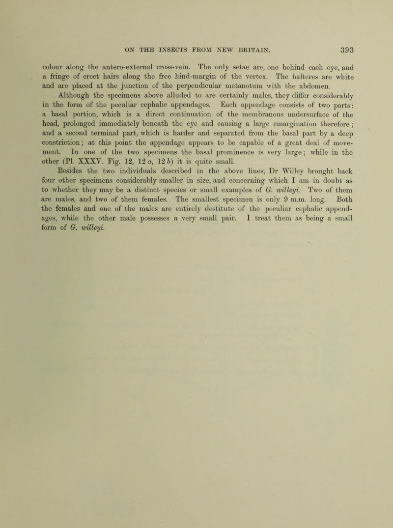 colour along the antero-external cross-vein. The only setae are, one behind each eye, and a fringe of erect hairs along the free hind-margin of the vertex. The lialteres are white and are placed at the junction of the perpendicular metanotum with the abdomen. Although the specimens above alluded to are certainly males, they differ considerably in the form of the peculiar cephalic appendages. Each appendage consists of two parts: a basal portion, which is a direct continuation of the membranous undersurface of the head, prolonged immediately beneath the eye and causing a large emargination therefore ; and a second terminal part, which is harder and separated from the basal part by a deep constriction; at this point the appendage appears to be capable of a great deal of move- ment. In one of the two specimens the basal prominence is very large; while in the other (PI. XXXV. Fig. 12, 12 a, 12 h) it is quite small. Besides the two individuals described in the above lines. Dr Willey brought back four other specimens considerably smaller in size, and concerning which I am in doubt as to whether they may be a distinct species or small examples of G. willeyi. Two of them are males, and two of them females. The smallest specimen is only 9 m.m. long. Both the females and one of the males are entirely destitute of the peculiar cephalic append- ages, while the other male possesses a very small pair. I treat them as being a small form of G. willeyi.
