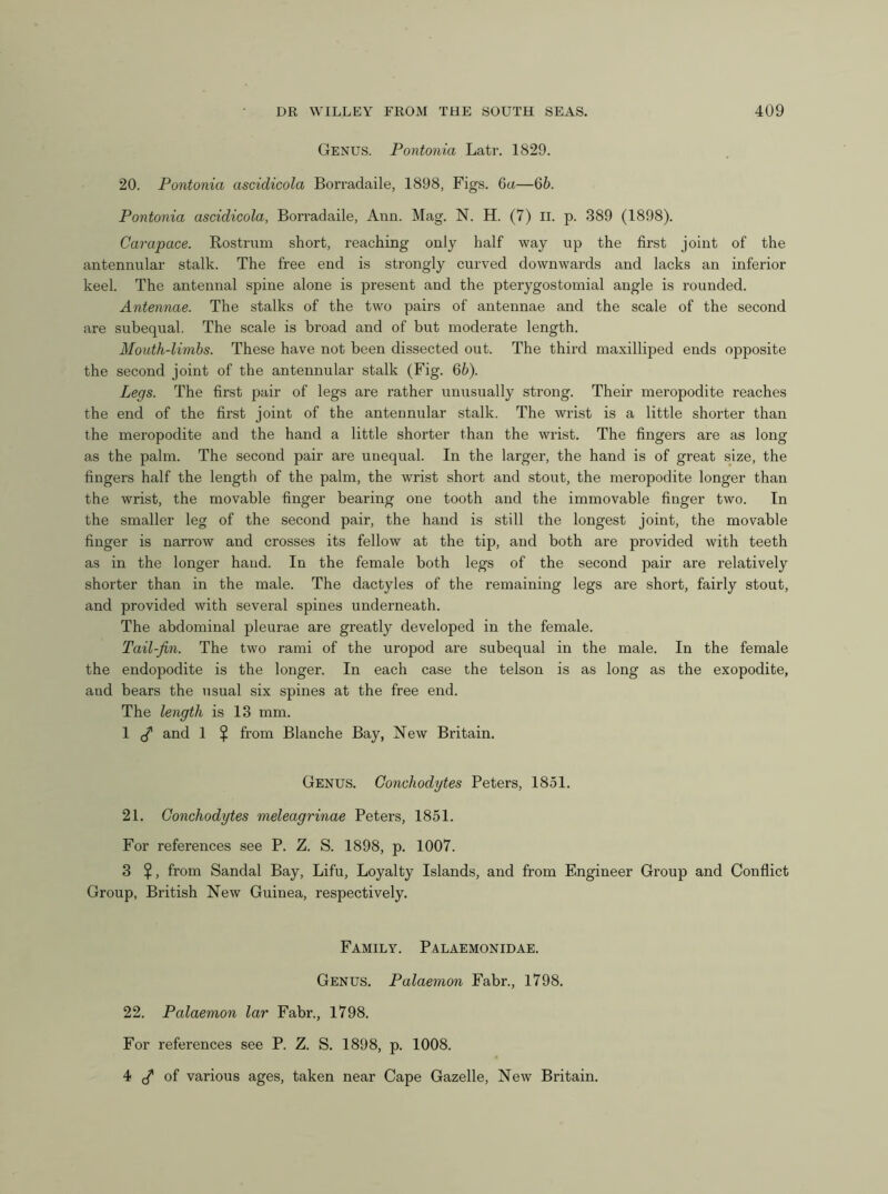 Genus. Pontonia Latr. 1829. 20. Pontonia ascidicola Borradaile, 1898, Figs. 6a—66. Pontonia ascidicola, Borradaile, Ann. Mag. N. H. (7) ii. p. 389 (1898). Carapace. Rostrum short, reaching only half way up the first joint of the antennular stalk. The free end is strongly curved downwards and lacks an inferior keel. The antennal spine alone is present and the pterygostomial angle is rounded. Antennae. The stalks of the two pairs of antennae and the scale of the second are subequal. The scale is broad and of but moderate length. Mouth-limbs. These have not been dissected out. The third maxilliped ends opposite the second joint of the antennular stalk (Fig. 66). Legs. The first pair of legs are rather unusually strong. Their meropodite reaches the end of the first joint of the antennular stalk. The wrist is a little shorter than the meropodite and the hand a little shorter than the wrist. The fingers are as long as the palm. The second pair are unequal. In the larger, the hand is of great size, the fingers half the length of the palm, the wrist short and stout, the meropodite longer than the wrist, the movable finger bearing one tooth and the immovable finger two. In the smaller leg of the second pair, the hand is still the longest joint, the movable finger is narrow and crosses its fellow at the tip, and both are provided with teeth as in the longer hand. In the female both legs of the second pair are relatively shorter than in the male. The dactyles of the remaining legs are short, fairly stout, and provided with several spines underneath. The abdominal pleurae are greatly developed in the female. Tail-fin. The two rami of the uropod are subequal in the male. In the female the endopodite is the longer. In each case the telson is as long as the exopodite, and bears the usual six spines at the free end. The length is 13 mm. 1 cT and 1 $ from Blanche Bay, New Britain. Genus. Conchodytes Peters, 1851. 21. Conchodytes meleagrinae Peters, 1851. For references see P. Z. S. 1898, p. 1007. 3 ?, from Sandal Bay, Lifu, Loyalty Islands, and from Engineer Group and Conflict Group, British New Guinea, respectively. Family. Palaemonidae. Genus. Palaemon Fabr., 1798. 22. Palaemon lar Fabr., 1798. For references see P. Z. S. 1898, p. 1008. 4 cT of various ages, taken near Cape Gazelle, New Britain.