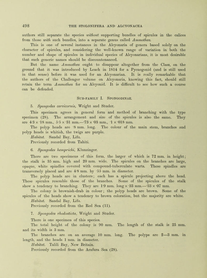 authors still separate the species without supporting bundles of spicules in the calices from those with such bundles, into a separate genus called Ammothea. This is one of several instances in the Alcyonaria of genera based solely on the character of spicules, and considering the well-known range of variation in both the number and shape of spicules in individual species of Alcyonarians, it is most desirable that such generic names should be discountenanced. But the name Ammothea ought to disappear altogether from the Class, on the ground that it was introduced by Leach in 1814 for a Pycnogonid (and is still used in that sense) before it was used for an Alcyonarian. It is really remarkable that the authors of the Challenger volume on Alcyonaria, knowing this fact, should still retain the term Ammothea for an Alcyonid. It is difficult to see how such a course can be defended. Sub-family I. Spongodinae. 5. Spongodes cervicornis, Wright and Studer. This specimen agrees in general form and method of branching with the type specimen (28). The arrangement and size of the spicules is also the same. They are 4 3 x T8 mm., b'h x '31 mm.—'73 x '03 mm., T x ’018 mm. The polyp heads are ‘8 mm. long. The colour of the main stem, branches and polyp heads is whitish, the twigs are purple. Habitat. Sandal Bay, Lifu. Previously recorded from Tahiti. 6. Spongodes hemprichi, Klunzinger. There are two specimens of this form, the larger of which is 72mm. in height; the stalk is 35 mm. high and 20 mm. wide. The spicules on the branches are large, opaque, white spindles covered with compound-tuberculate warts. These spindles are transversely placed and are 4'8 mm. by o5 mm. in diameter. The polyp heads are in clusters; each has a spicule projecting above the head. These spicules resemble those of the branches. Some of the spicules of the stalk show a tendency to branching. They are 1’9 mm. long x '33 mm.—'33 x ‘07 mm. The colony is brownish-drab in colour; the polyp heads are brown. Some of the spicules of the heads show a tendency to brown coloration, but the majority are white. Habitat. Sandal Bay, Lifu. Previously recorded from the Red Sea (11). 7. Spongodes rhodosticta, Wright and Studer. There is one specimen of this species. The total height of the colony is 90 mm. The length of the stalk is 25 mm, and its width is 3 mm. The branches are on an average 10 mm. long. The polyps are 2—3 mm. in length, and the heads 1 mm. in diameter. Habitat. Talili Bay, New Britain. Previously recorded from the Arafura Sea (28).