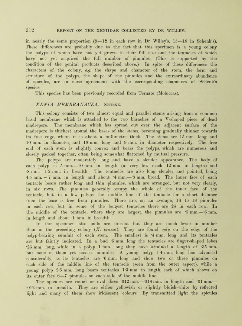 in nearly the same proportion (9—12 in each row in Dr Willey’s, 15—18 in Schenk’s). These differences are probably due to the fact that this specimen is a young colony the polyps of which have not yet grown to their full size and the tentacles of which have not yet acquired the full number of pinnules. (This is supported by the condition of the genital products described above.) In spite of these differences the characters of the colony, e.g. the shape and character of the stem, the form and structure of the polyps, the shape of the pinnules and the extraordinary abundance of spicules, are in close agreement with the corresponding characters of Schenk’s species. This species has been previously recorded from Ternate (Moluccas). XENIA MEMBRANACEA. Schenk. This colony consists of two almost equal and parallel stems arising from a common basal membrane which is attached to the two branches of a V-shaped piece of dead madrepore. The membrane which has spread out over the adjacent surface of the madrepore is thickest around the bases of the stems, becoming gradually thinner towards its free edge, where it is about a millimetre thick. The stems are 15 mm. long and 10 mm. in diameter, and 18 mm. long and 9 mm. in diameter respectively. The free end of each stem is slightly convex and bears the polyps, which are numerous and closely packed together, often being somewhat flattened by mutual pressure. The polyps are moderately long and have a slender appearance. The body of each polyp is 5 mm.—10 mm. in length (a very few reach 12 mm. in length) and •8 mm.—1'2 mm. in breadth. The tentacles are also long, slender and pointed, being 4’5 mm. — 7 mm. in length and about ’4 mm.—'8 mm. broad. The inner face of each tentacle bears rather long and thin pinnules, which are arranged, but not very clearly, in six rows. The pinnules generally occupy the whole of the inner face of the tentacle, but in a few polyps the middle line of the tentacle for a short distance from the base is free from pinnules. There are, on an average, 16 to 18 pinnules in each row, but in some of the longest tentacles there are 24 in each row. In the middle of the tentacle, where they are largest, the pinnules are '5 mm.— 6 mm. in length and about T mm. in breadth. In this specimen also buds are present but they are much fewer in number than in the preceding colony {X. crassa). They are found only on the edge of the polyp-bearing summit of each stem. The smallest is '4 mm. long and its tentacles are but faintly indicated. In a bud ’6 mm. long the tentacles are finger-shaped lobes •25 mm. long, while in a polyp 1 mm. long they have attained a length of ‘35 mm. but none of them yet possess pinnules. A young polyp 1'4 mm. long has advanced considerably, as its tentacles are '6 mm. long and show two or three pinnules on each side of the middle line of the tentacle (seen from the outer aspect), while a young polyp 2’5 mm. long bears tentacles 1'3 mm. in length, each of which shows on its outer face 6—7 pinnules on each side of the middle line. The spicules are round or oval discs '012 mm.—‘018 mm. in length and '01 mm.— •012 mm. in breadth. They are either yellowish or slightly bluish-white by reflected light and many of them show iridescent colours. By transmitted light the spicules
