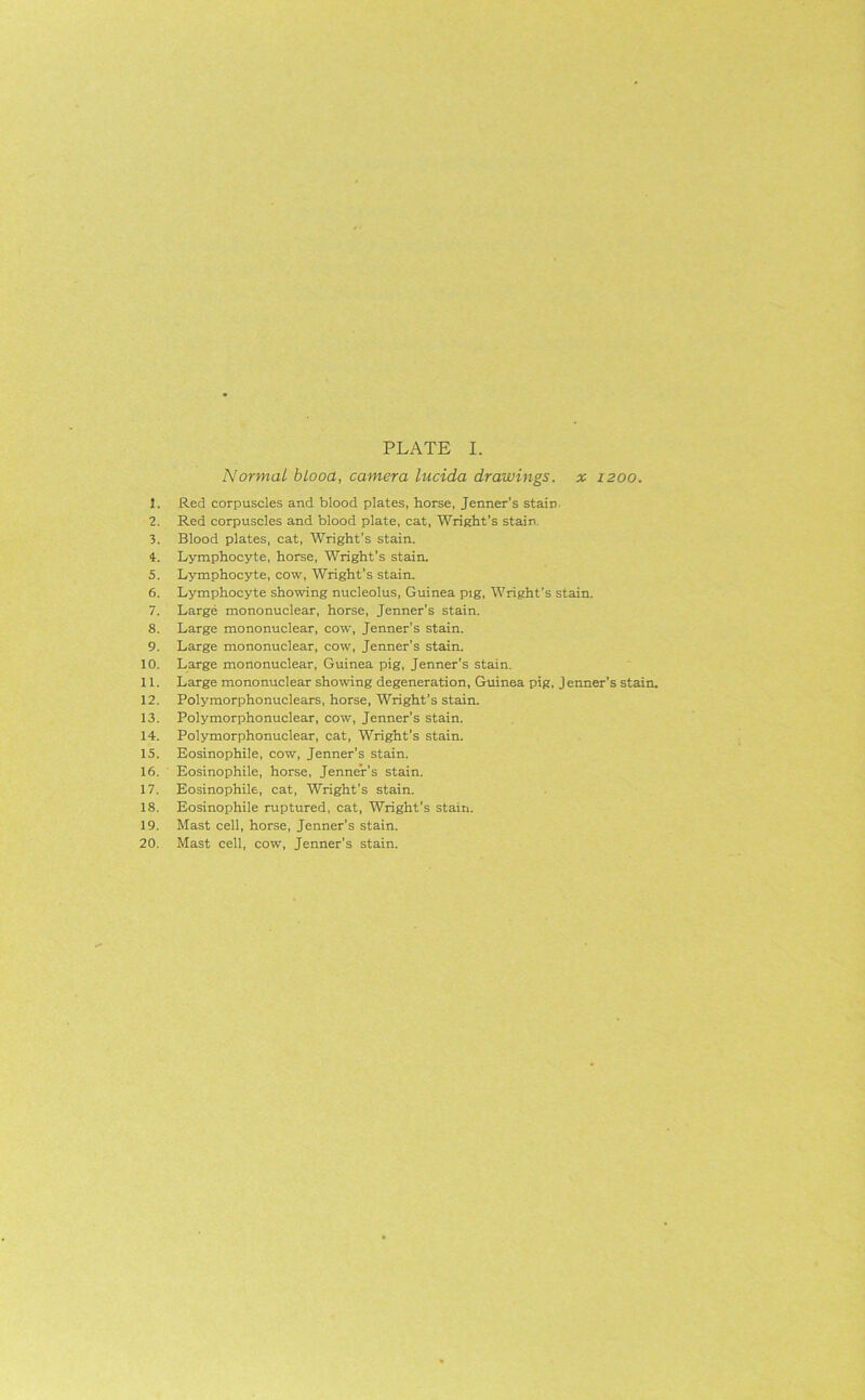 PLATE I. Normal blooa, camera lucida drawings, x 1200. 1. Red corpuscles and blood plates, horse, Jenner's stain 2. Red corpuscles and blood plate, cat, Wright’s stain, 3. Blood plates, cat, Wright’s stain. 4. Lymphocyte, horse, Wright’s stain. 5. Lymphocyte, cow, Wright’s stain. 6. Lymphocyte showing nucleolus, Guinea pig, Wright’s stain. 7. Large mononuclear, horse, Jenner’s stain. 8. Large mononuclear, cow, Jenner’s stain. 9. Large mononuclear, cow, Jenner’s stain. 10. Large mononuclear, Guinea pig, Jenner’s stain. 11. Large mononuclear showing degeneration, Guinea pig, Jenner’s stain. 12. Polymorphonuclears, horse, Wright’s stain. 13. Polymorphonuclear, cow, Jenner’s stain. 14. Polymorphonuclear, cat, Wright's stain. 15. Eosinophile, cow, Jenner’s stain. 16. Eosinophile, horse, Jenner’s stain. 17. Eosinophile, cat, Wright’s stain. 18. Eosinophile ruptured, cat, Wright’s stain. 19. Mast cell, horse, Jenner's stain. 20. Mast cell, cow, Jenner’s stain.