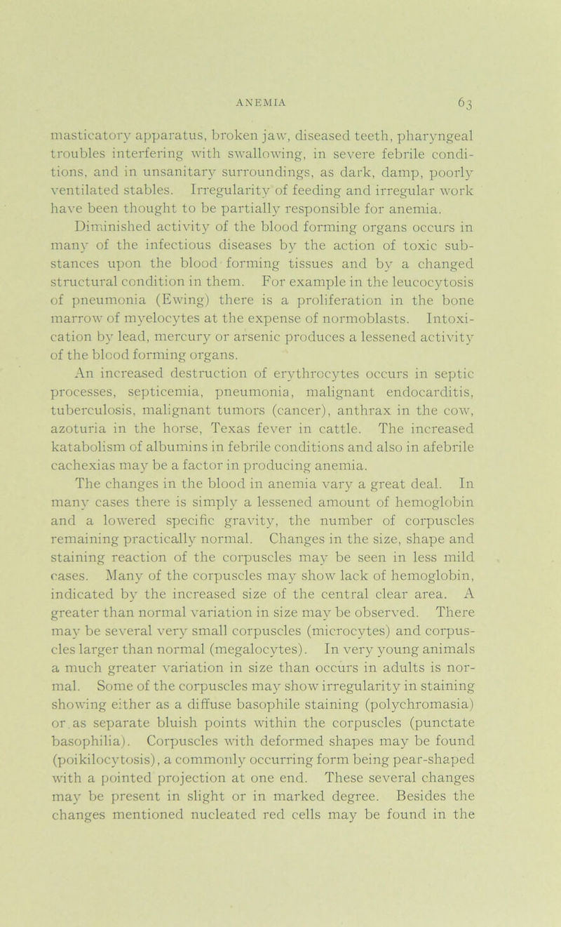 masticatory apparatus, broken jaw, diseased teeth, pharyngeal troubles interfering with swallowing, in severe febrile condi- tions, and in unsanitary surroundings, as dark, damp, poorly ventilated stables. Irregularity of feeding and irregular work have been thought to be partially responsible for anemia. Diminished activity of the blood forming organs occurs in many of the infectious diseases by the action of toxic sub- stances upon the blood forming tissues and by a changed structural condition in them. For example in the leucocytosis of pneumonia (Ewing) there is a proliferation in the bone marrow of myelocytes at the expense of normoblasts. Intoxi- cation by lead, mercury or arsenic produces a lessened activity of the blood forming organs. An increased destruction of erythrocytes occurs in septic processes, septicemia, pneumonia, malignant endocarditis, tuberculosis, malignant tumors (cancer), anthrax in the coav, azoturia in the horse, Texas fever in cattle. The increased katabolism of albumins in febrile conditions and also in afebrile cachexias may be a factor in producing anemia. The changes in the blood in anemia vary a great deal. In many cases there is simply a lessened amount of hemoglobin and a lowered specific gravity, the number of corpuscles remaining practically normal. Changes in the size, shape and staining reaction of the corpuscles may be seen in less mild cases. Many of the corpuscles may show lack of hemoglobin, indicated by the increased size of the central clear area. A greater than normal variation in size may be observed. There may be several very small corpuscles (microcytes) and corpus- cles larger than normal (megalocytes). In very young animals a much greater variation in size than occurs in adults is nor- mal. Some of the corpuscles may show irregularity in staining showing either as a diffuse basophile staining (polychromasia) or as separate bluish points within the corpuscles (punctate basophilia). Corpuscles with deformed shapes may be found (poikilocvtosis), a commonly occurring form being pear-shaped with a pointed projection at one end. These several changes may be present in slight or in marked degree. Besides the changes mentioned nucleated red cells may be found in the