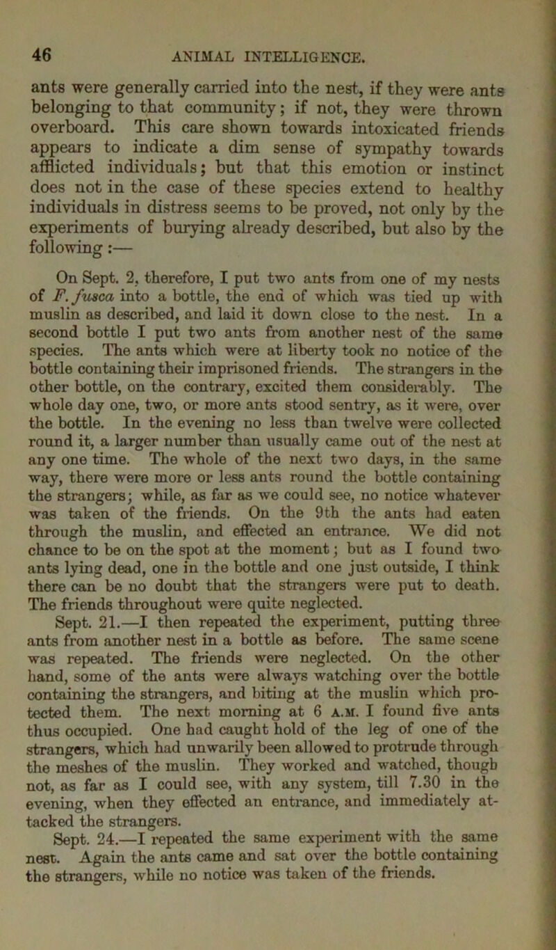 ants were generally carried into the nest, if they were ants belonging to that community; if not, they were thrown overboard. This care shown towards intoxicated friends appears to indicate a dim sense of sympathy towards afflicted individuals; but that this emotion or instinct does not in the case of these species extend to healthy individuals in distress seems to be proved, not only by the experiments of burying already described, but also by the following:— On Sept. 2, therefore, I put two ants from one of my nests of F./usca into a bottle, the end of which was tied up with muslin as described, and laid it down close to the nest. In a second bottle I put two ants from another nest of the same species. The ants which were at libei-ty took no notice of the bottle containing their imprisoned friends. The strangers in the other bottle, on the contrary, excited them considerably. The whole day one, two, or more ants stood sentry, as it were, over the bottle. In the evening no less than twelve were collected round it, a larger number than usually came out of the nest at any one time. The whole of the next two days, in the same way, there were more or less ants round the bottle containing the strangers; while, as far as we could see, no notice whatever was taken of the friends. On the 9th the ants had eaten through the muslin, and effected an entrance. We did not chance to be on the spot at the moment; but as I found two ants lying dead, one in the bottle and one just outside, I think there can be no doubt that the strangers were put to death. The friends throughout were quite neglected. Sept. 21.—I then repeated the experiment, putting three ants from another nest in a bottle as before. The same scene was repeated. The friends were neglected. On the other hand, some of the ants were always watching over the bottle containing the strangers, and biting at the muslin which pro- tected them. The next morning at 6 A.M. I found five ants thus occupied. One had caught hold of the leg of one of the strangers, which had unwarily been allowed to protrude through the meshes of the muslin. They worked and watched, though not, as far as I could see, with any system, till 7.30 in the evening, when they effected an entrance, and immediately at- tacked the strangers. Sept. 24.—I repeated the same experiment with the same nest. Again the ants came and sat over the bottle containing the strangers, while no notice was taken of the friends.