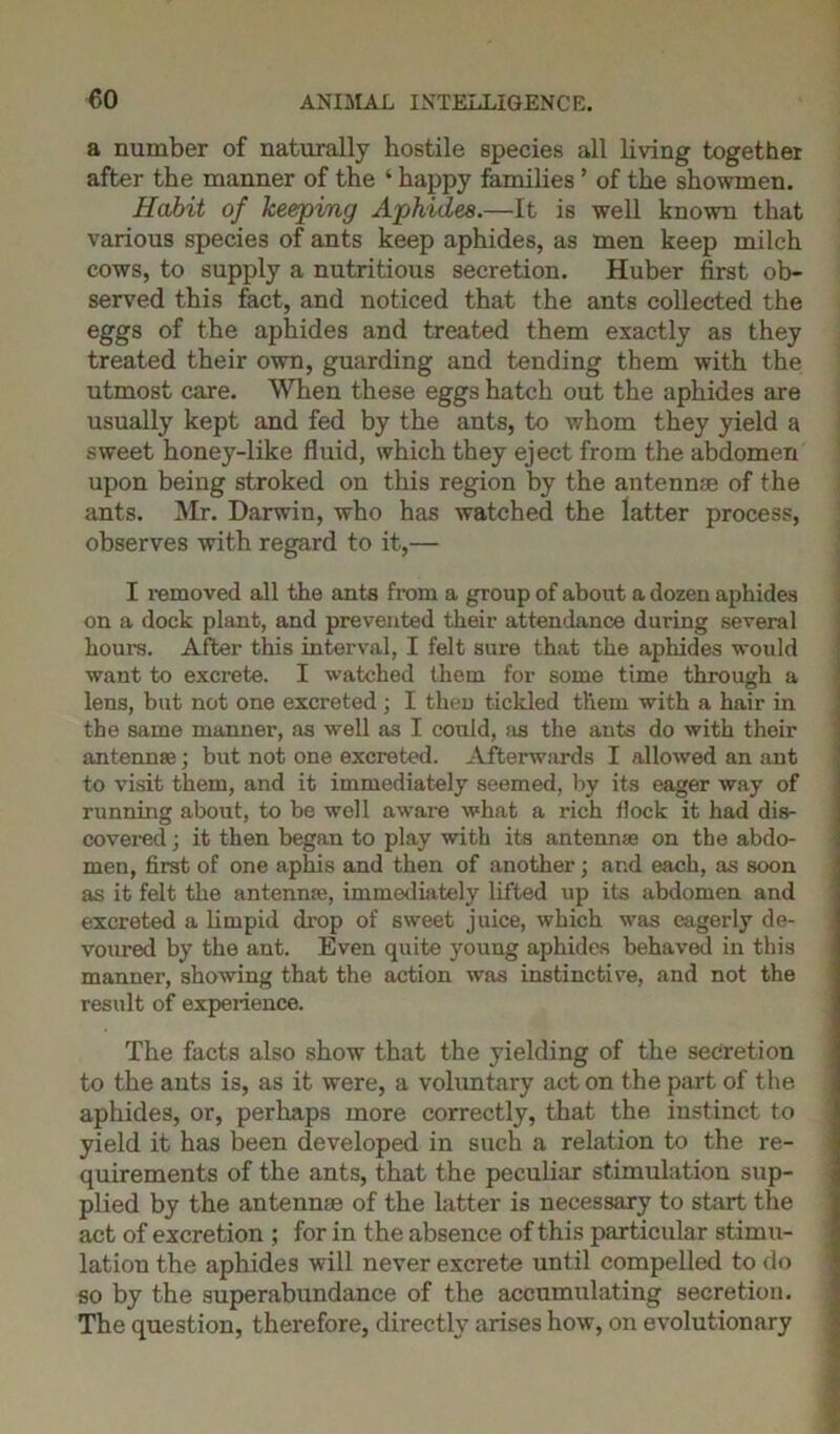 a number of naturally hostile species all living together after the manner of the ‘ happy families ’ of the showmen. Habit of keeping Aphides.—It is well known that various species of ants keep aphides, as men keep milch cows, to supply a nutritious secretion. Huber first ob- served this fact, and noticed that the ants collected the eggs of the aphides and treated them exactly as they treated their own, guarding and tending them with the utmost care. When these eggs hatch out the aphides are usually kept and fed by the ants, to whom they yield a sweet honey-like fluid, which they eject from the abdomen upon being stroked on this region by the antennae of the ants. Mr. Darwin, who has watched the latter process, observes with regard to it,— I removed all the ants from a group of about a dozen aphides on a dock plant, and prevented their attendance during several hours. After this interval, I felt sure that the aphides would want to excrete. I watched them for some time through a lens, but not one excreted; I then tickled them with a hair in the same manner, as well as I could, as the ants do with their antennas; but not one excreted. Afterwards I allowed an ant to visit them, and it immediately seemed, by its eager way of running about, to be well aware what a rich flock it had dis- covered ; it then began to play with its antennas on the abdo- men, first of one aphis and then of another; and each, as soon as it felt the antennaj, immediately lifted up its abdomen and excreted a limpid drop of sweet juice, which was eagerly de- voured by the ant. Even quite young aphides behaved in this manner, showing that the action was instinctive, and not the result of experience. The facts also show that the yielding of the secretion to the ants is, as it were, a voluntary act on the part of the aphides, or, perhaps more correctly, that the instinct to yield it has been developed in such a relation to the re- quirements of the ants, that the peculiar stimulation sup- plied by the antennae of the latter is necessary to start the act of excretion ; for in the absence of this particular stimu- lation the aphides will never excrete until compelled to do so by the superabundance of the accumulating secretion. The question, therefore, directly arises how, on evolutionary