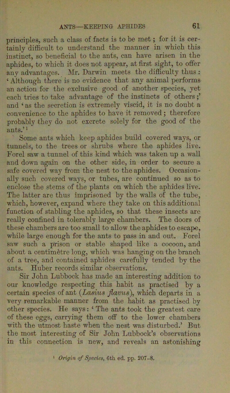 principles, such a class of facts is to be met; for it is cer- tainly difficult to understand the manner in which this instinct, so beneficial to the ants, can have arisen in the aphides, to which it does not appear, at first sight, to offer any advantages. Mr. Darwin meets the difficulty thus : ‘ Although there is no evidence that any animal performs an action for the exclusive good of another species, yet each tries to take advantage of the instincts of others and ‘ as the secretion is extremely viscid, it is no doubt a convenience to the aphides to have it removed; therefore probably they do not excrete solely for the good of the ants.’1 Some ants which keep aphides build covered ways, or tunnels, to the trees or shrubs where the aphides live. Forel saw a tunnel of this kind which was taken up a wall and down again on the other side, in order to secure a safe covered way from the nest to the aphides. Occasion- ally such covered ways, or tubes, are continued so as to enclose the stems of the plants on which the aphides live. The latter are thus imprisoned by the walls of the tube, which, however, expand where they take on this additional function of stabling the aphides, so that these insects are really confined in tolerably large chambers. The doors of these chambers are too small to allow the aphides to escape, while large enough for the ants to pass in and out. Forel saw such a prison or stable shaped like a cocoon, and about a centimetre long, which was hanging on the branch of a tree, and contained aphides carefully tended by the ants. Huber records similar observations. Sir John Lubbock has made an interesting addition to our knowledge respecting this habit as practised by a certain species of ant (Lcisius flavus), which departs in a very remarkable manner from the habit as practised by other species. He says: ‘ The ants took the greatest care of these eggs, carrying them off to the lower chambers with the utmost haste when the nest was disturbed.’ But the most interesting of Sir John Lubbock’s observations in this connection is new, and reveals an astonishing