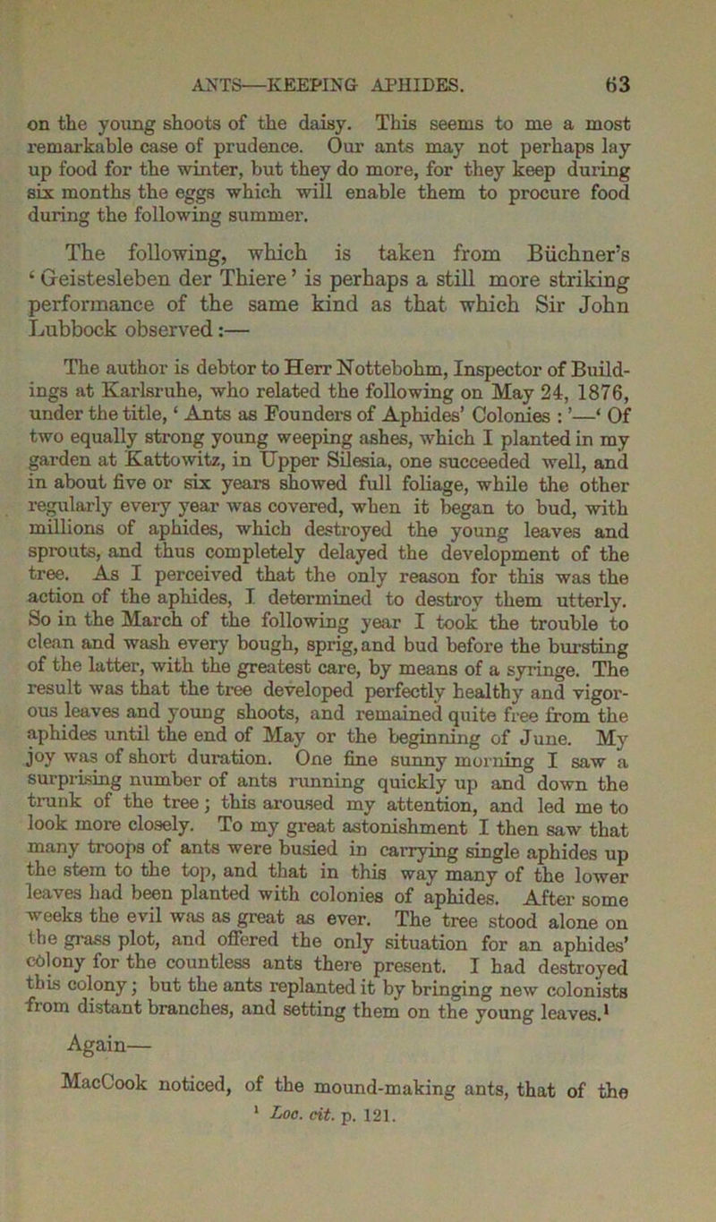 on the young shoots of the daisy. This seems to me a most remarkable case of prudence. Our ants may not perhaps lay up food for the winter, but they do more, for they keep during six months the eggs which will enable them to procure food during the following summer. The following, which is taken from Buchners ‘ Greistesleben der Thiere ’ is perhaps a still more striking performance of the same kind as that which Sir John Lubbock observed:— The author is debtor to Herr Nottebohm, Inspector of Build- ings at Karlsruhe, who related the following on May 24, 1876, under the title, ‘ Ants as Founders of Aphides’ Colonies : ’—‘ Of two equally strong young weeping ashes, which I planted in my garden at Kattowitz, in Upper Silesia, one succeeded well, and in about five or six years showed full foliage, while the other regularly every year was covered, when it began to bud, with millions of aphides, which destroyed the young leaves and sprouts, and thus completely delayed the development of the tree. As I perceived that the only reason for this was the action of the aphides, I determined to destroy them utterly. So in the March of the following year I took the trouble to clean and wash every bough, sprig, and bud before the bursting of the latter, with the greatest care, by means of a syringe. The result was that the tree developed perfectly healthy and vigor- ous leaves and young shoots, and remained quite free from the aphides until the end of May or the beginning of June. My joy was of short duration. One fine sunny morning I saw a surprising number of ants running quickly up and down the trunk of the tree; this aroused my attention, and led me to look more closely. To my great astonishment I then saw that many troops of ants were busied in carrying single aphides up the stem to the top, and that in this way many of the lower leaves had been planted with colonies of aphides. After some weeks the evil was as great as ever. The tree stood alone on the grass plot, and offered the only situation for an aphides’ colony for the countless ants there present. I had destroyed this colony; but the ants replanted it by bringing new colonists from distant branches, and setting them on the young leaves.1 Again— MacCook noticed, of the mound-making ants, that of the 1 Loo. tit. p. 121.