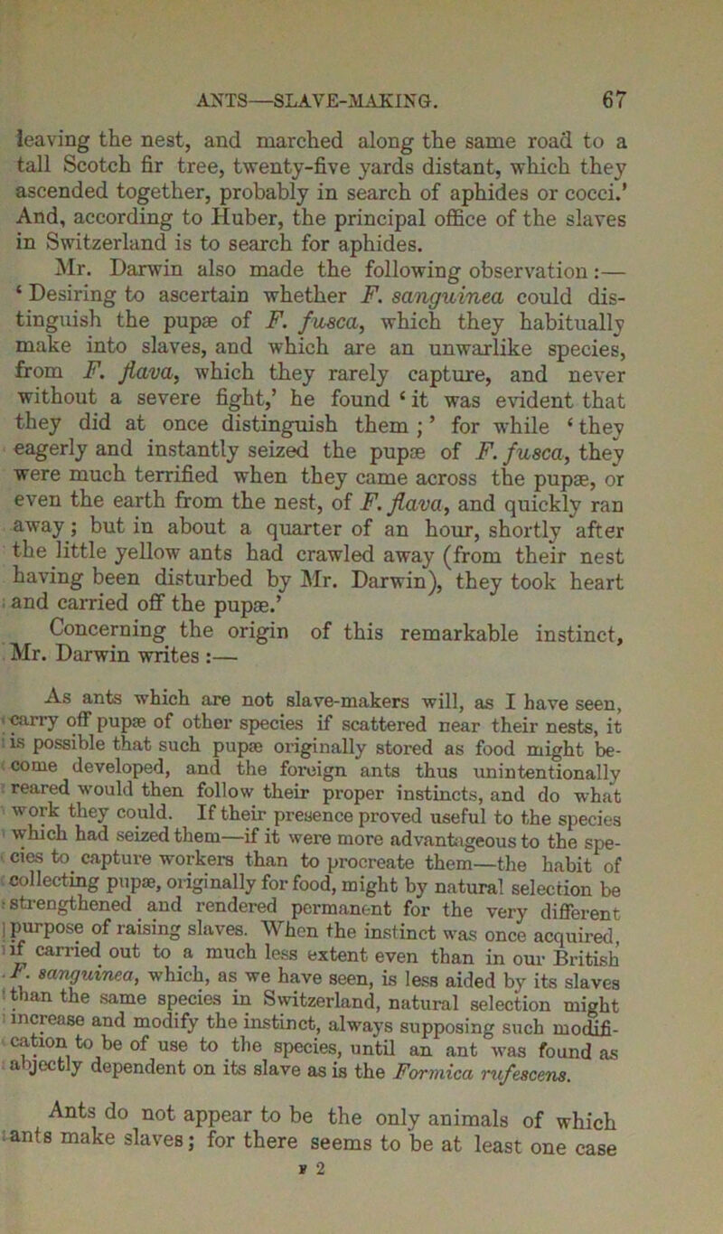 leaving the nest, and marched along the same road to a tall Scotch fir tree, twenty-five yards distant, which they ascended together, probably in search of aphides or cocci.’ And, according to Huber, the principal office of the slaves in Switzerland is to search for aphides. Mr. Darwin also made the following observation:— ‘ Desiring to ascertain whether F. sanguined could dis- tinguish the pupae of F. fusca, which they habitually make into slaves, and which are an unwarlike species, from F. Jlava, which they rarely capture, and never without a severe fight,’ he found 4 it was evident that they did at once distinguish them ; ’ for while 4 they eagerly and instantly seized the pupae of F. fusca, they were much terrified when they came across the pupae, or even the earth from the nest, of F. Jlava, and quickly ran away; but in about a quarter of an hour, shortly after the little yellow ants had crawled away (from their nest having been disturbed by Mr. Darwin), they took heart and carried off the pupae.’ Concerning the origin of this remarkable instinct, Mr. Darwin writes :— As ants which are not slave-makers will, as I have seen, I carry off pupte of other species if scattered near their nests, it : is possible that such pupse originally stored as food might be- come developed, and the foreign ants thus unintentionally reared would then follow their proper instincts, and do what -work they could. If their presence proved useful to the species which had seized them—if it were more advantageous to the spe- cies to capture workers than to procreate them—the habit of collecting pupae, originally for food, might by natural selection be ' strengthened and rendered permanent for the very different ; purpose of raising slaves. When the instinct was once acquired if carried out to a much less extent even than in our British ^guinea, which, as we have seen, is less aided by its slaves ■ than the same species in Switzerland, natural selection might increase and modify the instinct, always supposing such modifi- cation to be of use to the species, until an ant was found as abjectly dependent on its slave as is the Formica rufescens. Ants do not appear to be the only animals of which iants make slaves; for there seems to be at least one case