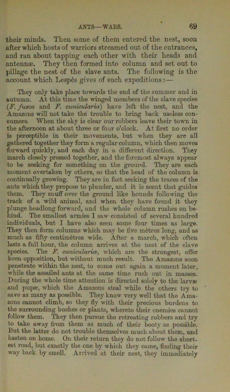 their minds. Then some of them entered the nest, soon after which hosts of warriors streamed out of the entrances, and ran about tapping each other with their heads and antennae. They then formed into column and set out to pillage the nest of the slave ants. The following is the account which Lesp&s gives of such expeditions :— They only take place towards the end of the summer and in autumn. At this time the winged members of the slave species (F. fusca and F. cunicularia) have left the nest, and the Amazons will not take the trouble to bring back useless con- sumers. When the sky is clear our robbers leave their town in the afternoon at about three or four o’clock. At first no order is perceptible in their movements, but when they are all gathered together they form a regular column, which then moves forward quickly, and each day in a different direction. They march closely pressed together, and the foremost always appear to be seeking for something on the ground. They are each moment overtaken by others, so that the head of the column is continually growing. They are in fact seeking the traces of the ants •which they propose to plunder, and it is scent that guides them. They snuff over the ground like hounds following the track of a wild animal, and when they have found it they plunge headlong forward, and the whole column rushes on be- hind. The smallest armies I saw consisted of several hundred individuals, but I have also seen some four times as large. They then form columns which may be five metres long, and as much as fifty centimetres wide. After a march, which often lasts a full hour, the column arrives at the nest of the slave species. The F. cunicularice, which are the strongest, offer keen opposition, but without much result. The Amazons soon penetrate within the nest, to come out again a moment later, while the assailed ants at the same time rush out in masses. During the whole time attention is directed solely to the larvae and pupae, which the Amazons steal while the others try to save as many as possible. They know very well that the Ama- zons cannot climb, so they fly with their precious burdens to the surrounding bushes or plants, whereto their enemies cannot follow them. They then pursue the retreating robbers and try to take away from them as much of their booty as possible. But the latter do not trouble themselves much about them, and hasten on home. On their return they do not follow the short- est road, but exactly the one by which they came, finding their way back by smell. Arrived at their nest, they immediately