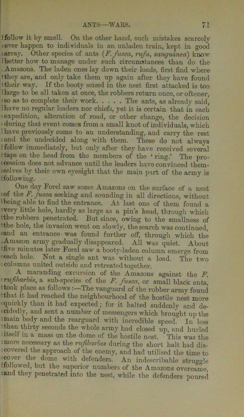 i follow it by smell. On the other hand, such mistakes scarcely < ever happen to individuals in an unladen train, kept in good i array. Other species of ants (F. fusca, rufa, sanguinea) know 1 better how to manage under such circumstances than do the .Amazons. The laden ones lay down their loads, first find where Ithey are, and only take them up again after they have found 1 their way. If the booty seized in the nest first attacked is too 1 large to be all taken at once, the robbers return once, or oftener, •so as to complete their work The ants, as already said, 1 have no regular leaders nor chiefs, yet it is certain that in each -expedition, alteration of road, or other change, the decision during that event comes from a small knot of individuals, which ; have previously come to an understanding, and carry the rest .and the undecided along with them. These do not always i follow immediately, but only after they have received several ■ taps on the head from the members of the ‘ring.’ The pro- c cession does not advance until the leaders have convinced them- selves by their own eyesight that the main part of the army is i following. One day Forel saw some Amazons on the surface of a nest of the F. fusca seeking and sounding in all directions, without 1 being able to find the entrance. At last one of them found a ivery little hole, hardly as large as a pin’s head, through which tthe robbers penetrated. But since, owing to the smallness of ?the hole, the invasion went on slowly, the search was continued, sand an entrance was found further off, through which the -Amazon army gradually disappeared. All was quiet. About tfive minutes later Forel saw a booty-laden column emerge from ■each hole. Not a single ant was without a load. The two columns united outsido and retreated together. A marauding excursion of the Amazons against the F. rufbarbis, a sub-species of the F. fusca, or small black ants] took place as follows The vanguard of the robber army found • that it had reached the neighbourhood of the hostile nest more ■ quickly than it had expected; for it halted suddenly and de- cidedly, and sent a number of messengers which brought up the imain body and the rearguard with incredible speed. In less than thirty seconds the whole army had closed up, and hurled itself m a mass on the dome of the hostile nest. This was the :more necessary as the rufibarbes during the short halt had dis- covered the approach of the enemy, and had utilised the time to cover the dome with defenders. An indescribable struggle .followed, but the superior numbers of the Amazons overcame and they penetrated into the nest, while the defenders poured