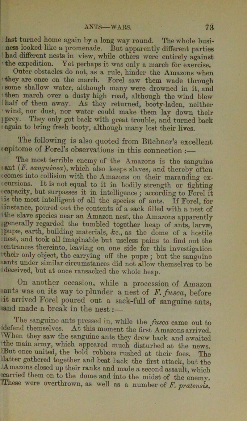 last turned home again by a long way round. The whole busi- ness looked like a promenade. But apparently different parties had different nests in view, while others were entirely against ■ the expedition. Yet perhaps it was only a march for exercise. Outer obstacles do not, as a rule, hinder the Amazons when ' they are once on the march. Forel saw them wade through some shallow water, although many were drowned in it, and ■ then march over a dusty high road, although the wind blew ; half of them away. As they returned, booty-laden, neither • wind, nor dust, nor water could make them lay down their ] Prey. They only got back with great trouble, and turned back • again to bring fresh booty, although many lost their lives. The following is also quoted from Buchner’s excellent epitome of Forel’s observations in this connection :— The most terrible enemy of the Amazons is the sanguine ;ant {F. sanguined), which also keeps slaves, and thereby often v comes into collision with the Amazons on their marauding ex- i cursions. It is not equal to it in bodily strength or fighting capacity, but surpasses it in intelligence; according to Forel it is the most intelligent of all the species of ants. If Forel, for i instance, poured out the contents of a sack filled with a nest of • the slave species near an Amazon nest, the Amazons apparently .generally regarded the tumbled together heap of ants, larva;, ■ pupae, earth, building materials, &c., as the dome of a hostile nest, and took all imaginable but useless pains to find out the ■ entrances thereinto, leaving on one side for this investigation their only object, the carrying off the pupa;; but the sanguine ;ants under similar circumstances did not allow themselves to be deceived, but at once ransacked the whole heap. On another occasion, while a procession of Amazon ants was on its way to plunder a nest of F. fusca, before it arrived Forel poured out a sack-full of sanguine ants, ^and made a break in the nest:— The sanguine ants pressed in, while the fusca came out to defend themselves. At this moment the first Amazons arrived. ’ When they saw the sanguine ants they drew back and awaited the main army, which appeared much disturbed at the news. UBut once united, the bold robbers rushed at their foes. The latter gathered together and beat back the first attack, but the . Amazons closed up their ranks and made a second assault, which ■carried them on to the dome and into the midst of the enemy. TThese were overthrown, as well as a number of F. pratensls.