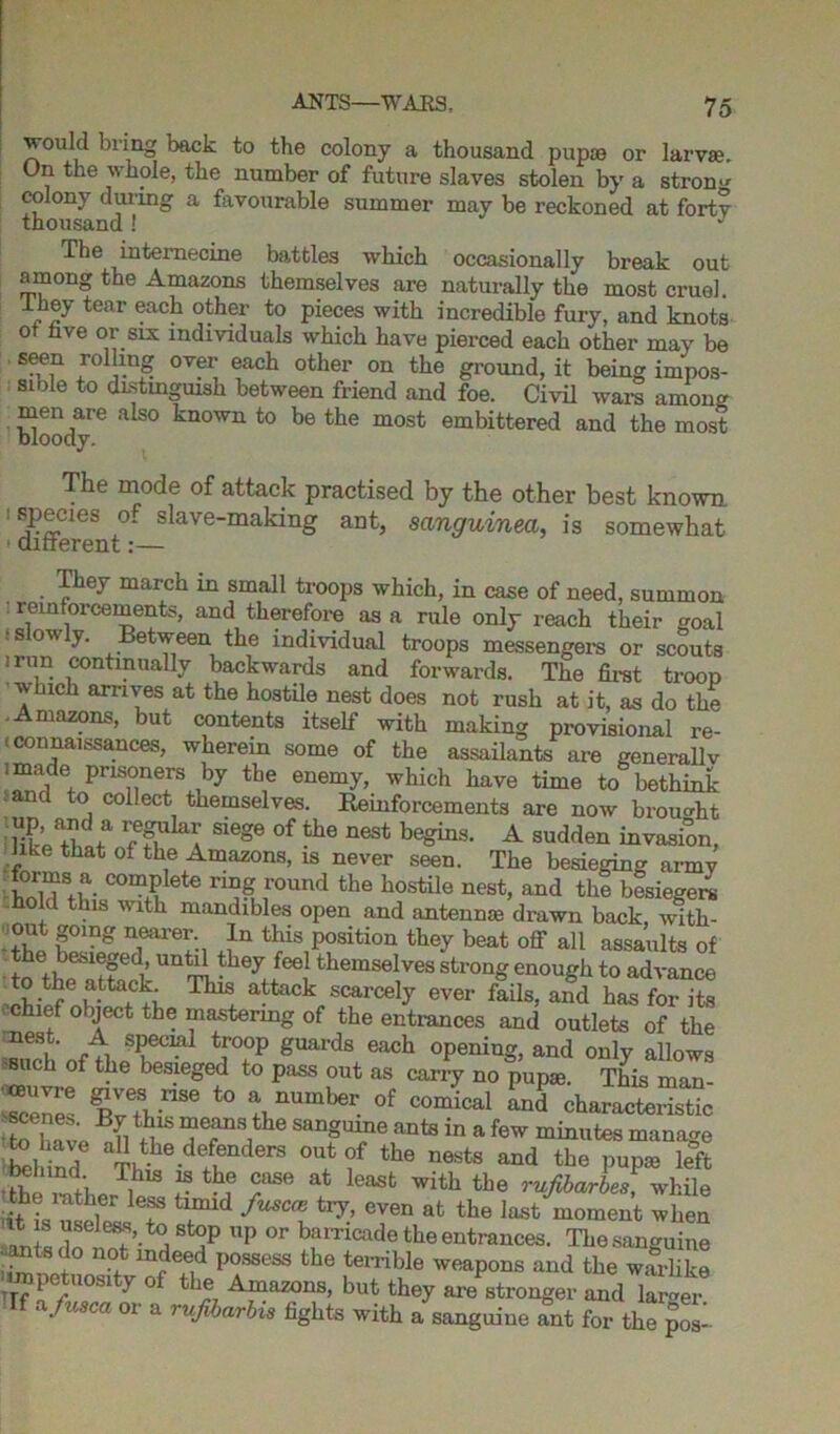 would bring back to the colony a thousand pupae or larvae. On the whole, the number of future slaves stolen by a strong colony during a favourable summer may be reckoned at fortv thousand! J The internecine battles which occasionally break out among the Amazons themselves are naturally the most cruel, ihey tear each other to pieces with incredible fury, and knots ot fave or six individuals which have pierced each other may be seen rolling over each other on the ground, it being impos- sible to distinguish between friend and foe. Civil ware among men are also known to be the most embittered and the most The mode of attack practised by the other best known ■species of slave-making ant, sanguined, is somewhat dirierent:— They march in small troops which, in case of need, summon reinforcements, and therefore as a rule only reach their goal s o\v y. Between the individual troops messengers or scouts 1 mn continually backwards and forwards. The first troop which arrives at the hostile nest does not rush at it, as do the • Amazons, but contents itself with making provisional re- < connaissances, wherein some of the assailants are generallv imade prisoners by the enemy, which have time to bethink to col.ect themselves. Reinforcements are now brought likP A Si6ge °f the neSt A ^den invasion, Jike that of the Amazons, is never seen. The besieging army forms a complete ring round the hostile nest, and the besiegere hold this with mandibles open and antenna* drawn back, with- out going nearer In this position they beat off all assaults of the besieged, until they feel themselves strong enough to advance ^hief IS ^ attack scarcely ever fails, and has for its chief object the mastering of the entrances and outlets of the sPecml fr00? guards each opening, and only allows ” h of the besieged to pass out as carry no pupae. This man- Tcone6 BvetbnSe t0 \nUmher. of comical and characteristic to have H Tr118, SangT6 aDtS in a few minutes manage M ind Th^e-dfbnderS 0Ue f th6 n6StS and tbe PUP* left -themt'her le ? v? T* at leasfc the rufibarbes, while the rather less timid fuscce try, even at the last moment when it is useless, to stop up or barricade the entrances. The sanguine ■ ants do not indeed possess the terrible weapons and the warlike impetuosity of the Amazons, but they are stronger and larger Tf a/usca or a rufibarbis fights with a sanguine ant for the pos-