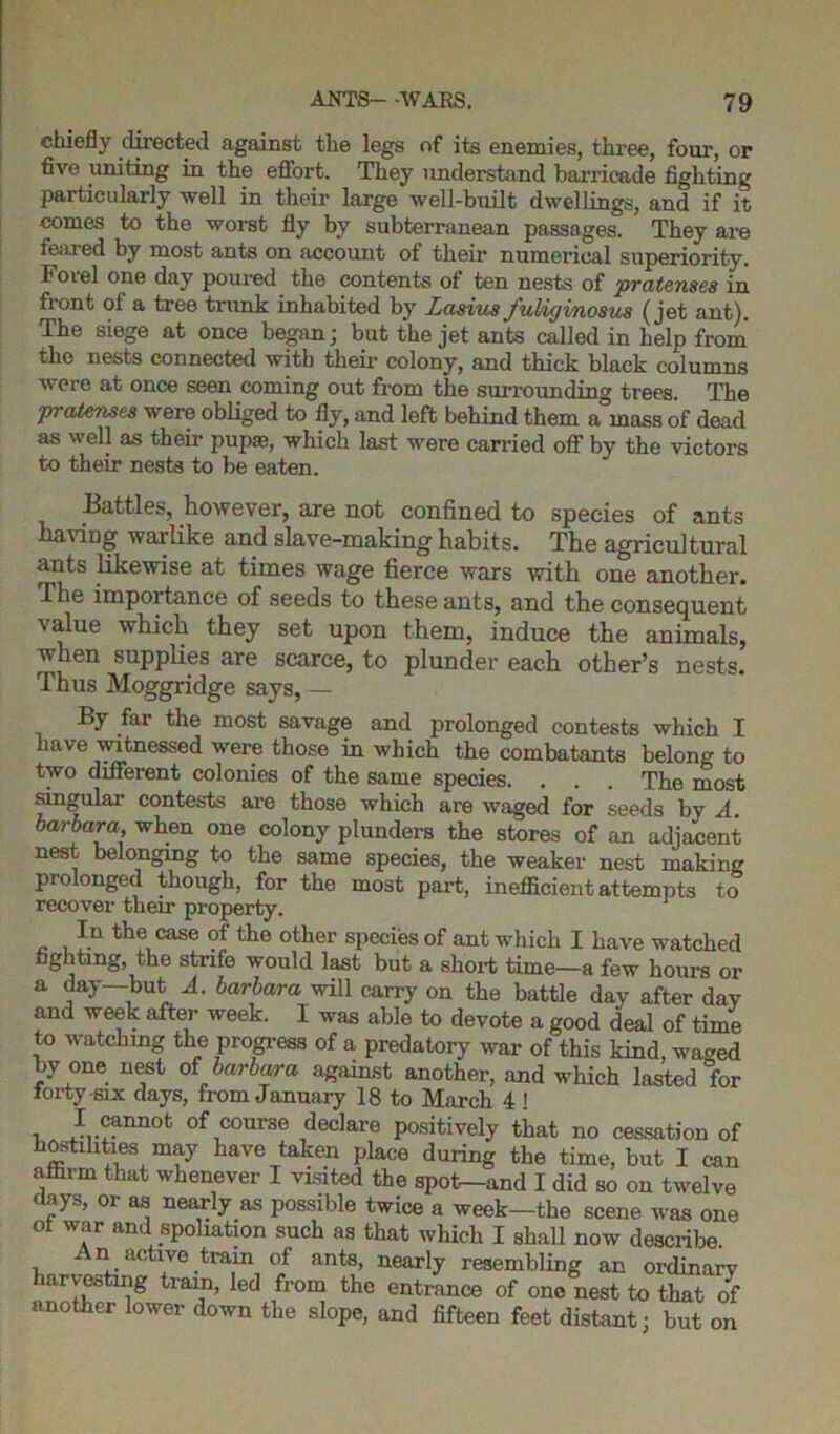 chiefly directed against the legs of its enemies, three, four, or five uniting in the effort. They understand barricade fighting particularly well in their large well-built dwellings, and if it comes to the worst fly by subterranean passages. They are feared by most ants on account of their numerical superiority. Forel one day poured the contents of ten nests of pratenses in front of a tree ti’unk inhabited by LasiusJuliginosus (jet ant). The siege at once began; but the jet ants called in help from the nests connected with their colony, and thick black columns were at once seen coming out from the surrounding trees. The pratenses were obliged to fly, and left behind them a mass of dead as well as their pupae, which last were carried off by the victors to their nests to be eaten. Battles, however, are not confined to species of ants having wailike and slave-making habits. The agricultural ants likewise at times wage fierce wars with one another. The importance of seeds to these ants, and the consequent value which they set upon them, induce the animals, when supplies are scarce, to plunder each other’s nests. Thus Moggridge says, — By hir the most savage and prolonged contests which I have witnessed were those in which the combatants belong to two different colonies of the same species. . . . The most singular contests are those which are waged for seeds by A. barbara, when one colony plunders the stores of an adjacent nest belonging to the same species, the weaker nest making prolonged though, for the most part, inefficient attempts to recover their property. In the case of the other species of ant which I have watched fighting, the strife would last but a short time—a few hours or a day—but A. barbara will carry on the battle day after dav and week after week. I was able to devote a good deal of time to watchmg the progress of a predatory war of this kind, waged by one nest of barbara against another, and which lasted for forty-six days, from January 18 to March 4 ! I cannot of course declare positively that no cessation of hostdities may have taken place during the time, but I can affirm that whenever I visited the spot—and I did so on twelve days, or as nearly as possible twice a week—the scene was one ot war and spoliation such as that which I shall now describe. An active train of ants, nearly resembling an ordinarv arvestmg train, led from the entrance of one nest to that of another lower down the slope, and fifteen feet distant; but on