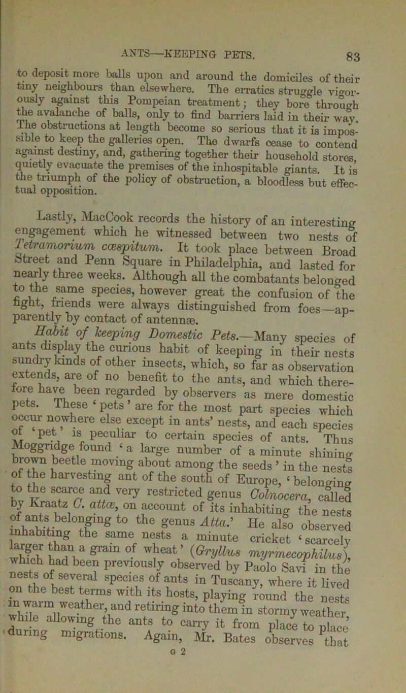 to deposit more balls upon and around the domiciles of their tiny neighbours than elsewhere. The erratics struggle vio-or- ously against this Pompeian treatment; they bore through the avalanche of balls, only to find barriers laid in their way lhe obstructions at length become so serious that it is impos- sible to keep the galleries open. The dwarfs cease to contend against destiny, and, gathering together their household stores quietly evacuate the premises of the inhospitable giants. It is the triumph of the policy of obstruction, a bloodless but effec- tual opposition. Lastly, MacCook records the history of an interesting- engagement which he witnessed between two nests of Tetramormm ccespitum. It took place between Broad totreet and Penn Square in Philadelphia, and lasted for nearly three weeks. Although all the combatants belonged to the same species, however great the confusion of the hght, friends were always distinguished from foes—ap- parently by contact of antennm. Habit of keeping Domestic Pets.—Many species of ants display the curious habit of keeping in their nests sundry lands of other insects, which, so far as observation extends, are of no benefit to the ants, and which there- fore have been regarded by observers as mere domestic pe s. These ‘ pets ’ are for the most part species which occur nowhere else except in ants’ nests, and each species ol pet is peculiar to certain species of ants. Thus Moggndge found ‘ a large number of a minute shinino- biown beetle moving about among the seeds ’ in the nests of the harvesting ant of the south of Europe, £ belonging Site?1?”* restrioted genus Cohioceni, called by Kraatz C. attce, on account of its inhabiting the nests of ants belongmg to the genus Atta.* He alfo observed inhabiting the same nests a minute cricket ‘scarcely whkh hTl a ^ W?Gatu {Gryllu8 myrmecophilus), which had been previously observed by Paolo Savi in the nests of several species of ants in Tuscany, where it lived on the best terms with its hosts, playing round the nests m warm weather, and retiring into them in stormy weather while allowing the ants to carry it from place to^ place urmg migrations. Again, Mr. Bates observes that