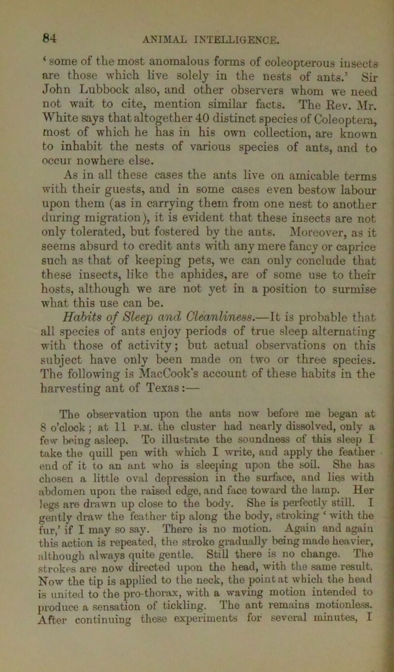 ‘ some of the most anomalous forms of coleopterous insects are those which live solely in the nests of ants.’ Sir John Lubbock also, and other observers whom we need not wait to cite, mention similar facts. The Rev. Mr. White says that altogether 40 distinct species of Coleoptera, most of which he has in his own collection, are known to inhabit the nests of various species of ants, and to occur nowhere else. As in all these cases the ants live on amicable terms with their guests, and in some cases even bestow labour upon them (as in carrying them from one nest to another during migration), it is evident that these insects are not only tolerated, but fostered by the ants. Moreover, as it seems absurd to credit ants with any mere fancy or caprice such as that of keeping pets, we can only conclude that these insects, like the aphides, are of some use to their hosts, although we are not yet in a position to surmise what this use can be. Habits of Sleep and Cleanliness.—It is probable that all species of ants enjoy periods of true sleep alternating with those of activity; but actual observations on this subject have only been made on two or three species. The following is MacCook's account of these habits in the harvesting ant of Texas:— The observation upon the ants now before me began at 8 o’clock; at 11 p.m. the cluster had nearly dissolved, only a few being asleep. To illustrate the soundness of this sleep I take the quill pen with which I write, and apply the feather end of it to an ant who is sleeping upon the soil. She has chosen a little oval depression in the surface, and lies with abdomen upon the raised edge, and face toward the lamp. Her legs are drawn up close to the body. She is perfectly still. I gently draw the feather tip along the body, stroking ‘ with the fur,’ if I may so say. There is no motion. Again and again this action is repeated, the stroke gradually being made heavier, although always quite gentle. Still there is no change. The strokes are now directed upon the head, with the same result. Now the tip is applied to the neck, the point at which the head is united to the pro-thorax, with a waving motion intended to produce a sensation of tickling. The ant remains motionless. After continuing these experiments for several minutes, I