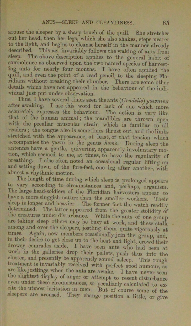 arouse the sleeper by a sharp touch of the quill. She stretches out her head, then her legs, which she also shakes, steps nearer to the light, and begins to cleanse herself in the manner already descril>ed. This act invariably follows the waking of ants from sleep. The above description applies to the general habit of somnolence as observed upon the two named species of harvest- ing ants for nearly four months. I have often applied the quill, and even the point of a lead pencil, to the sleeping Flo- ridians without breaking their slumber. There are some other details which have not appeared in the behaviour of the indi- vidual just put under observation. Thus, I have several times seen the ants (Crudelis) yawnimj after awaking. X use this word for lack of one which more accurately expresses the behaviour. The action is very like that of the human animal; the mandibles are thrown open with the peculiar muscular strain which is familiar to all readers; the tongue also is sometimes thrust out, and the limbs stretched with the appearance, at least, of that tension which accompanies the yawn in the genus homo. During sleep the antennae have a gentle, quivering, apparently involuntary mo- tion, which seemed to me, at times, to have the regularitv of breathing. I also often noted an occasional regular lifting up and setting down of the fore-feet, one leg after another, with almost a rhythmic motion. The length of time during which sleep is prolonged appears to vary according to circumstances and, perhaps, organism. The large head-soldiers of the Floridian harvesters appear to have a more sluggish nature than the smaller workers. Their sleep is longer and heavier. The former fact the watch readily determined. The latter appeared from the greater stoliditv of the creatures under disturbance. While the ants of one group ;u-e taking sleep others may be busy at work, and these stalk among and over the sleepers, jostling them quite vigorously at times. Again, new members occasionally join the group and in their desire to get close up to the heat and light, crowd their drowsy comrades aside. I have seen ants who had been at work m the galleries drop their pellets, push thus into the cluster, and presently be apparently sound asleep. This rough treatment is invariably received with perfect good humour, as are like jostlings when the ants are awake. I have never seen the slightest display of anger or attempt to resent disturbance even under these circumstances, so peculiarly calculated to ex- cite the utmost irritation in men. But of course some of the sleepers are aroused. They change position a little, or mve