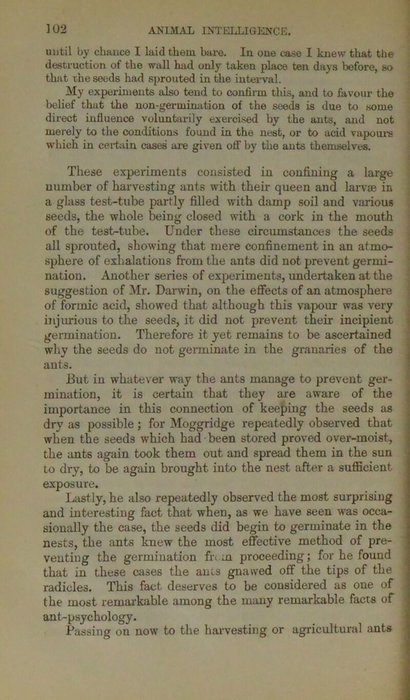 until by chance I laid them bare. In one case I knew that the destruction of the wall had only taken place ten days before, so that the seeds had sprouted in the interval. My experiments also tend to confirm this, and to favour the belief that the non-germination of the seeds is due to some direct influence voluntarily exercised by the ants, and not merely to the conditions found in the nest, or to acid vapours which in certain cases are given off by the ants themselves. These experiments consisted in confining a large number of harvesting ants with their queen and larvae in a glass test-tube partly filled with damp soil and various seeds, the whole being closed with a cork in the mouth of the test-tube. Under these circumstances the seeds all sprouted, showing that mere confinement in an atmo- sphere of exhalations from the ants did not prevent germi- nation. Another series of experiments, undertaken at the suggestion of Mr. Darwin, on the effects of an atmosphere of formic acid, showed that although this vapour was very injurious to the seeds, it did not prevent their incipient germination. Therefore it yet remains to be ascertained why the seeds do not germinate in the granaries of the ants. But in whatever way the ants manage to prevent ger- mination, it is certain that they are aware of the importance in this connection of keeping the seeds as dry as possible; for Moggridge repeatedly observed that when the seeds which had been stored proved over-moist, the ants again took them out and spread them in the sun to dry, to be again brought into the nest after a sufficient exposure. Lastly, he also repeatedly observed the most surprising and interesting fact that when, as we have seen was occa- sionally the case, the seeds did begin to germinate in the nests, the ants knew the most effective method of pre- venting the germination frt.ua proceeding; for he found that in these cases the ants gnawed off the tips of the radicles. This fact deserves to be considered as one of the most remarkable among the many remarkable facts of ant-psychology. Passing on now to the harvesting or agricultural ants