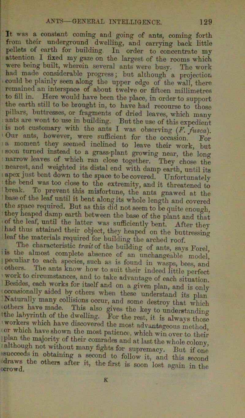 It was a constant coming and going of ants, coming forth from their underground dwelling, and carrying back little pellets of earth for building. In order to concentrate my attention I fixed my gaze on the largest of the rooms which were being built, wherein several ants were busy. The work had made considerable progress; but although a projection could be plainly seen along the upper edge of the wall, there remained an interspace of about twelve or fifteen millimetres to fill in. Here would have been the place, in order to support the earth still to be brought in, to have had recourse to those pillars, buttresses, or fragments of dried leaves, which many ants are wont to use in building. But the use of this expedient is not customary with the ants I was observing (F. fusca). ' Our ants, however, were sufficient for the occasion. For a moment they seemed inclined to leave their work, but ! soon turned instead to a grass-plant growing near, the long narrow leaves of which ran close together. They chose the nearest, and weighted its distal end with damp earth, until its 1 aPex Just tent down to the space to be covered. Unfortunately the bend was too close to the extremity, and it threatened to break. To prevent this misfortune, the ants gnawed at the ba.se of the leaf until it bent along its whole length and covered the space required. But as this did not seem to be quite enough, they heaped damp earth between the base of the plant and that ' leaf> nntu the latter was sufficiently bent. After they had thus attained their object, they heaped on the buttressing leaf the materials required for building the arched roof. The characteristic trait of the building of ants, says Forel i is the almost complete absence of an unchangeable model’ i peculiar to each species, such as is found in wasps, bees, and others. The ants know how to suit their indeed little perfect I ™rkto circumstances, and to take advantage of each situation. Besides, each works for itself and on a given plan, and is only .occasionally aided by others when these understand its plan ■Naturally many collisions occur, and some destroy that which £ves the k«y to understanding the labyrinth of the dwelling. For the rest, it is always those workers which have discovered the most advantageous method or which have shown the most patience, which win over to their p an the majority of their comrades and at last the whole colony although not without many fights for supremacy. But if one °ktaimn/ a f*00?* to follow it, and this second crowd 6 ” Jt’ thefirSt i8 S°°n l0st aSain intllc K