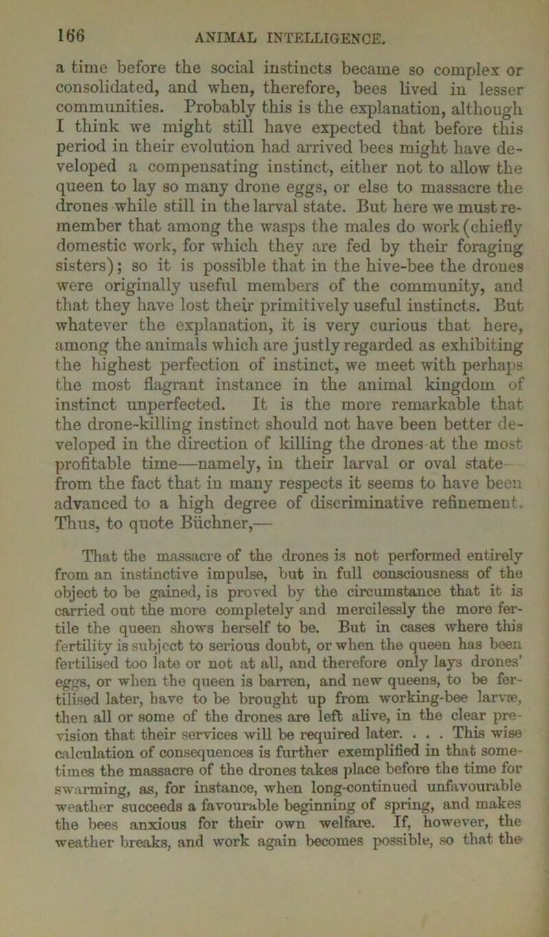 a time before the social instincts became so complex or consolidated, and when, therefore, bees lived in lesser communities. Probably this is the explanation, although I think we might still have expected that before this period in their evolution had arrived bees might have de- veloped a compensating instinct, either not to allow the queen to lay so many drone eggs, or else to massacre the drones while still in the larval state. But here we must re- member that among the wasps the males do work (chiefly domestic work, for which they are fed by their foraging sisters); so it is possible that in the hive-bee the drones were originally useful members of the community, and that they have lost their primitively useful instincts. But whatever the explanation, it is very curious that here, among the animals which are justly regarded as exhibiting the highest perfection of instinct, we meet with perhaps the most flagrant instance in the animal kingdom of instinct unperfected. It is the more remarkable that the drone-killing instinct should not have been better de- veloped in the direction of killing the drones at the most profitable time—namely, in their larval or oval state - from the fact that in many respects it seems to have been advanced to a high degree of discriminative refinement. Thus, to quote Buchner,— That the massacre of the drones is not performed entirely from an instinctive impulse, but in full consciousness of the object to be gained, is proved by the circumstance that it is carried out the more completely and mercilessly the more fer- tile the queen shows herself to be. But in cases where this fertility is subject to serious doubt, or when the queen has been fertilised too late or not at all, and therefore only lays drones’ eggs, or when the queen is barren, and new queens, to be fer- tilised later, have to be brought up from working-bee larva?, then all or some of the drones are left alive, in the clear pre- vision that their services will be required later. . . . This wise calculation of consequences is further exemplified in that some- times the massacre of the drones takes place before the time for swarming, as, for instance, when long-continued unfavourable weather succeeds a favourable beginning of spring, and makes the bees anxious for their own welfare. If, however, the weather breaks, and work again becomes possible, so that the