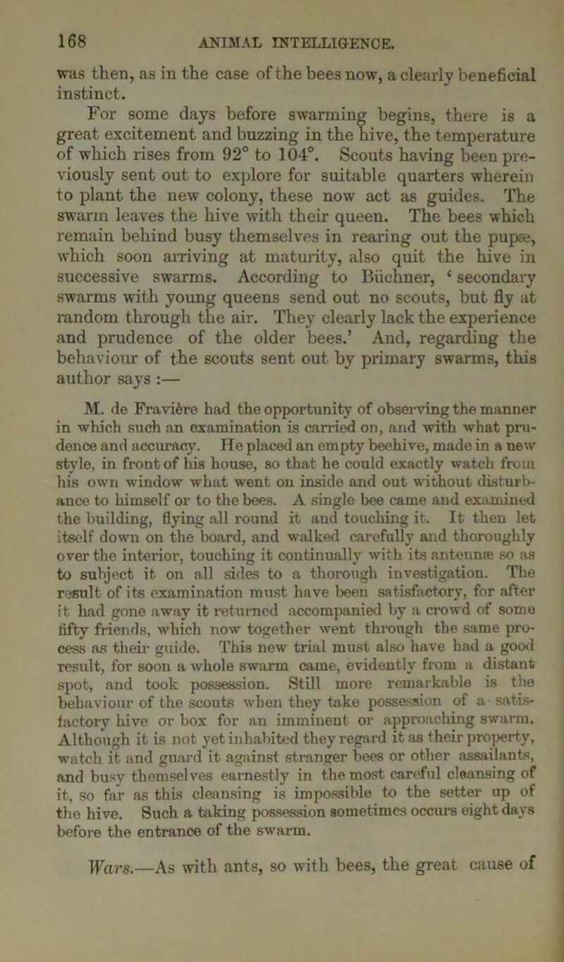 was then, as in the case of the bees now, a clearly beneficial instinct. For some days before swarming begins, there is a great excitement and buzzing in the hive, the temperature of which rises from 92° to 104°. Scouts having been pre- viously sent out to explore for suitable quarters wherein to plant the new colony, these now act as guides. The swarm leaves the hive with their queen. The bees which remain behind busy themselves in rearing out the pupae, which soon arriving at maturity, also quit the hive in successive swarms. According to Buchner, ‘ secondary swarms with young queens send out no scouts, but fly at random through the air. They clearly lack the experience and prudence of the older bees.’ And, regarding the behaviour of the scouts sent out by primary swarms, this author says :— M. de Fravi&re had the opportunity of observing the manner in which such an examination is carried on, and with what pru- dence and accuracy. He placed an empty beehive, made in a new style, in front of his house, so that he could exactly watch from Iris own window what went on inside and out without disturb- ance to himself or to the bees. A single bee came and examined the building, flying all round it and touching it. It then let itself down on the board, and walked carefully and thoroughly over the interior, touching it continually with its antenna* so as to subject it on all sides to a thorough investigation. The result of its examination must have been satisfactory, for after it had gone away it returned accompanied by a crowd of some fifty friends, which now together went through the same pro- cess as their guide. This new trial must also have had a good result, for soon a whole swarm came, evidently from a distant spot, and took possession. Still more remarkable is the behaviour of the scouts when they bike possession of a • satis- factory hive or box for an imminent or approaching swarm. Although it is not yet inhabited they regard it as their pro]>erty, watch it and guard it against stranger bees or other assailants, and busy themselves earnestly in the most careful cleansing of it, so far as this cleansing is impossible to the setter up of the hive. Such a taking possession sometimes occurs eight days before the entrance of the swarm. Wars.—As with ants, so with bees, the great cause of
