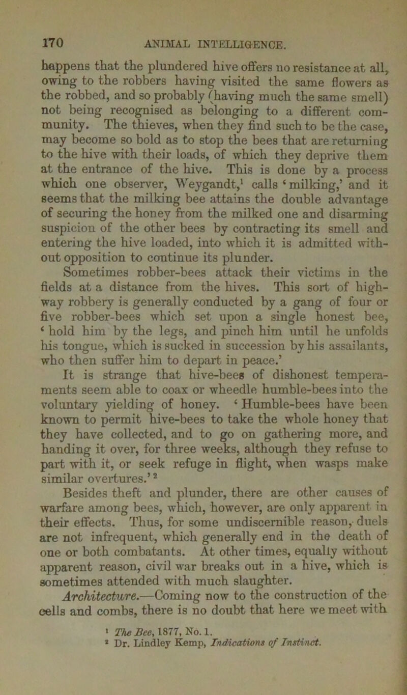 happens that the plundered hive offers no resistance at all, owing to the robbers having visited the same flowers as the robbed, and so probably (having much the same smell) not being recognised as belonging to a different com- munity. The thieves, when they find such to be the case, may become so bold as to stop the bees that are returning to the hive with their loads, of which they deprive them at the entrance of the hive. This is done by a process which one observer, Weygandt,1 calls ‘ milking,’ and it seems that the milking bee attains the double advantage of securing the honey from the milked one and disarming suspicion of the other bees by contracting its smell and entering the hive loaded, into which it is admitted with- out opposition to continue its plunder. Sometimes robber-bees attack their victims in the fields at a distance from the hives. This sort of high- way robbery is generally conducted by a gang of four or five robber-bees which set upon a single honest bee, ‘ hold him by the legs, and pinch him until he unfolds Ills tongue, which is sucked in succession by his assailants, who then suffer him to depart in peace.’ It is strange that hive-bees of dishonest tempera- ments seem able to coax or wheedle humble-bees into the voluntary yielding of honey. ‘ Humble-bees have been known to permit hive-bees to take the whole honey that they have collected, and to go on gathering more, and handing it over, for three weeks, although they refuse to part with it, or seek refuge in flight, when wasps make similar overtures.’2 Besides theft and plunder, there are other causes of warfare among bees, which, however, are only apparent in their effects. Thus, for some undiscernible reason, duels are not infrequent, which generally end in the death of one or both combatants. At other times, equally without apparent reason, civil war breaks out in a hive, which is sometimes attended with much slaughter. Architecture.—Coming now to the construction of the cells and combs, there is no doubt that here we meet with 1 The Bee, 1877, No. I. 2 Dr. Lindley Kemp, Indications of Instinct.