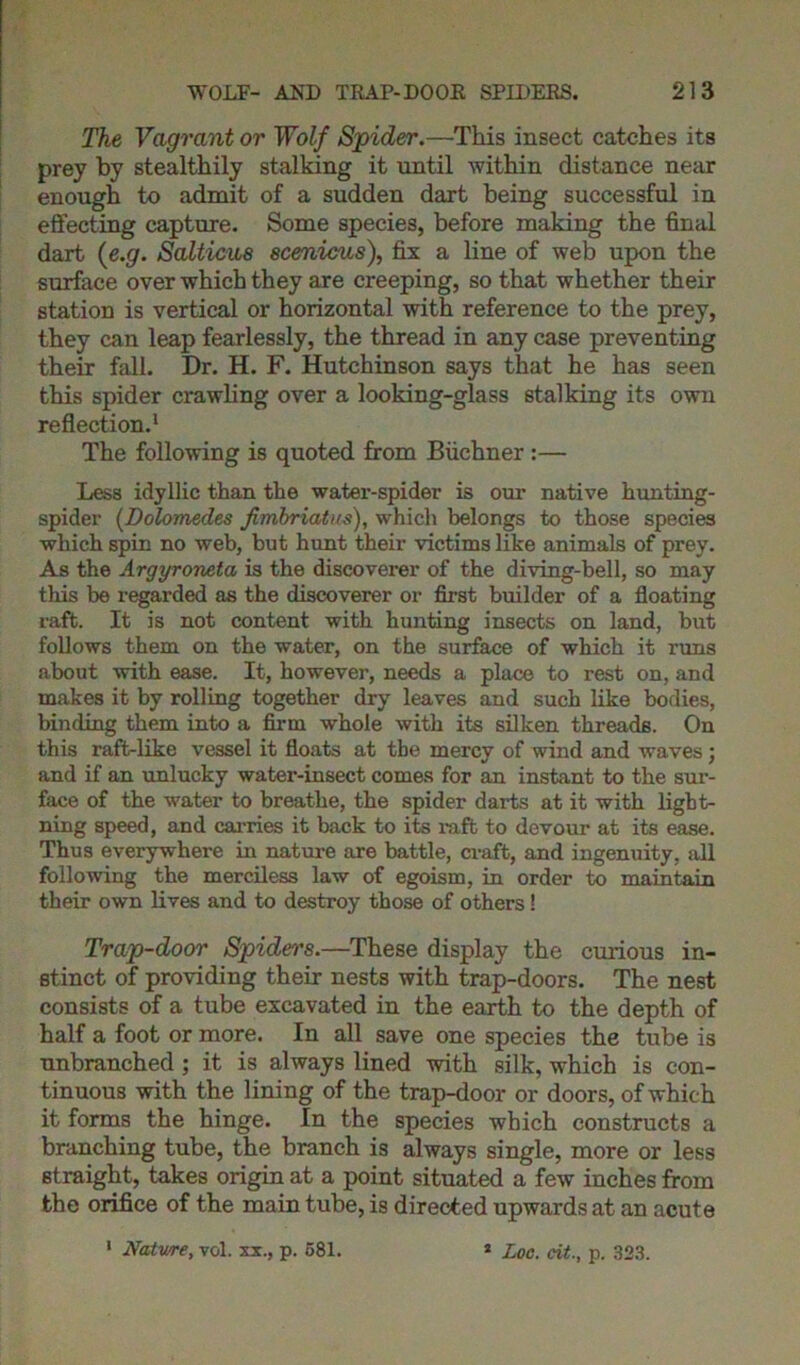 The Vagrant or Wolf Spider.—This insect catches its prey by stealthily stalking it until within distance near enough to admit of a sudden dart being successful in effecting capture. Some species, before making the final dart (e.g. Salticae scenicus), fix a line of web upon the surface over which they are creeping, so that whether their station is vertical or horizontal with reference to the prey, they can leap fearlessly, the thread in any case preventing their fall. Dr. H. F. Hutchinson says that he has seen this spider crawling over a looking-glass stalking its own reflection.1 The following is quoted from Buchner :— Less idyllic than the water-spider is our native hunting- spider (Dolomedes fimbriatus), which belongs to those species which spin no web, but hunt their victims like animals of prey. As the Argyroneta is the discoverer of the diving-bell, so may this be regarded as the discoverer or first builder of a floating raft. It is not content with hunting insects on land, but follows them on the water, on the surface of which it runs about with ease. It, however, needs a place to rest on, and makes it by rolling together dry leaves and such like bodies, binding them into a firm whole with its silken threads. On this raft-like vessel it floats at the mercy of wind and -waves; and if an unlucky water-insect comes for an instant to the sur- face of the water to breathe, the spider darts at it with light- ning speed, and carries it back to its raft to devour at its ease. Thus everywhere in nature are battle, craft, and ingenuity, all following the merciless law of egoism, in order to maintain their own lives and to destroy those of others! Trap-door Spiders.—These display the curious in- stinct of providing their nests with trap-doors. The nest consists of a tube excavated in the earth to the depth of half a foot or more. In all save one species the tube is unbranched ; it is always lined with silk, which is con- tinuous with the lining of the trap-door or doors, of which it forms the hinge. In the species which constructs a branching tube, the branch is always single, more or less straight, takes origin at a point situated a few inches from the orifice of the main tube, is directed upwards at an acute 1 Nature, vol. xx., p. 581. 2 Loc. cit., p. 323.