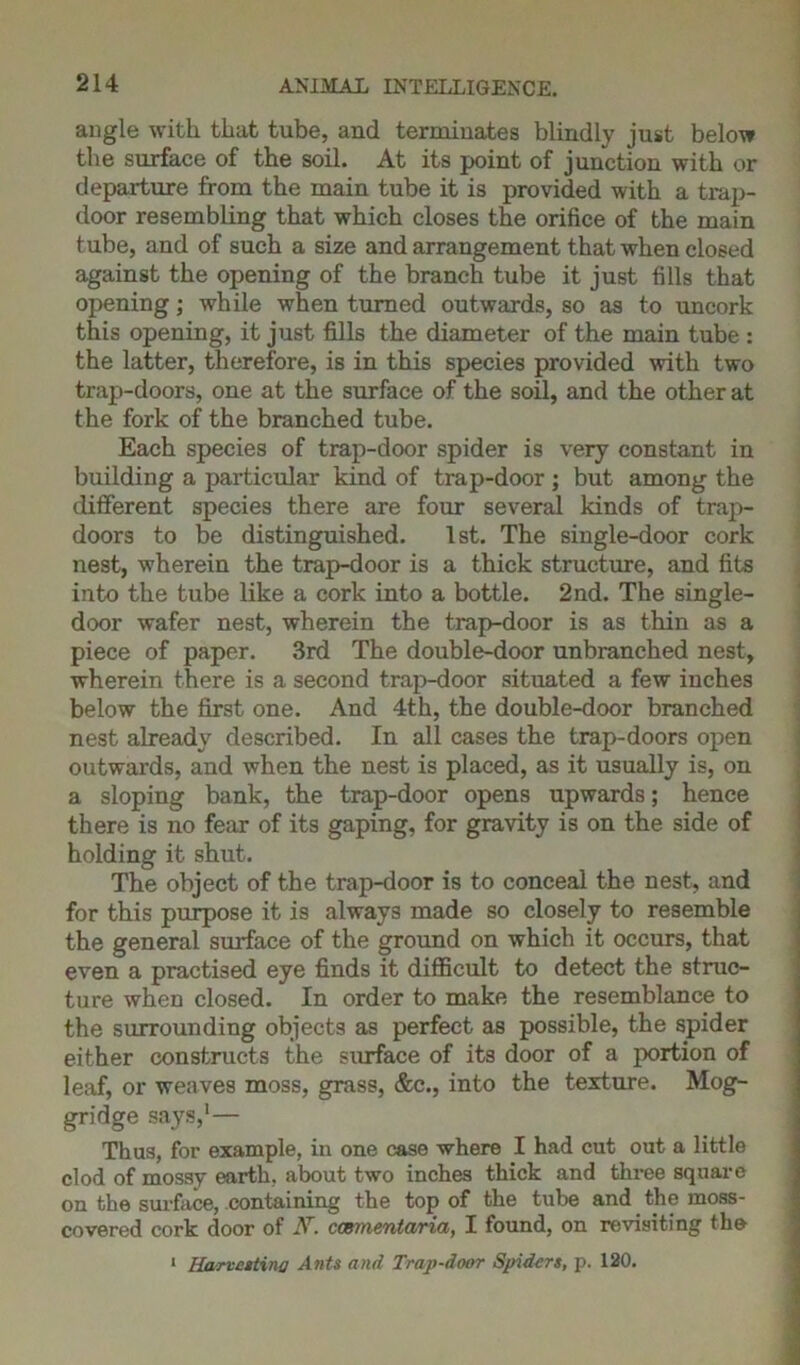 angle with that tube, and terminates blindly just below the surface of the soil. At its point of junction with or departure from the main tube it is provided with a trap- door resembling that which closes the orifice of the main tube, and of such a size and arrangement that when closed against the opening of the branch tube it just fills that opening; while when turned outwards, so as to uncork this opening, it just fills the diameter of the main tube : the latter, therefore, is in this species provided with two trap-doors, one at the surface of the soil, and the other at the fork of the branched tube. Each species of trap-door spider is very constant in building a particular kind of trap-door ; but among the different species there are four several kinds of trap- doors to be distinguished. 1st. The single-door cork nest, wherein the trap-door is a thick structure, and fits into the tube like a cork into a bottle. 2nd. The single- door wafer nest, wherein the trap-door is as thin as a piece of paper. 3rd The double-door unbranched nest, wherein there is a second trap-door situated a few inches below the first one. And 4th, the double-door branched nest already described. In all cases the trap-doors open outwards, and when the nest is placed, as it usually is, on a sloping bank, the trap-door opens upwards; hence there is no fear of its gaping, for gravity is on the side of holding it shut. The object of the trap-door is to conceal the nest, and for this purpose it is always made so closely to resemble the general surface of the ground on which it occurs, that even a practised eye finds it difficult to detect the struc- ture when closed. In order to make the resemblance to the surrounding objects as perfect as possible, the spider either constructs the surface of its door of a portion of leaf, or weaves moss, grass, &c., into the texture. Mog- gridge says,1— Thus, for example, in one case where I had cut out a little clod of mossy earth, about two inches thick and three square on the surface, containing the top of the tube and the moss- covered cork door of Ar. ccsmentaria, I found, on revisiting the 1 Harvesting Ants and Trap-door Spiders, p. 120.