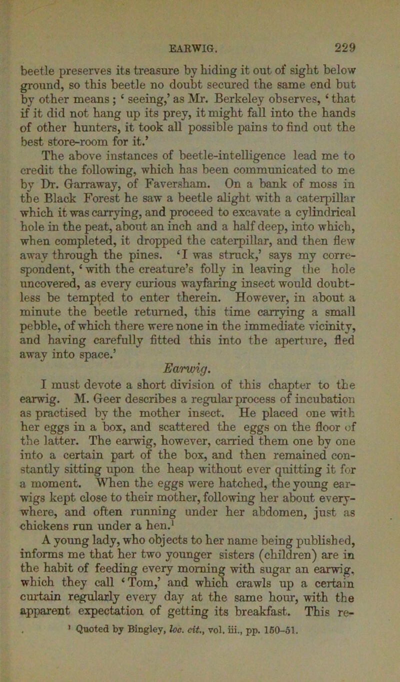 beetle preserves its treasure by hiding it out of sight below ground, so this beetle no doubt secured the same end but by other means; ‘ seeing,’ as Mr. Berkeley observes, ‘ that if it did not hang up its prey, it might fall into the hands of other hunters, it took all possible pains to find out the best store-room for it.’ The above instances of beetle-intelligence lead me to credit the following, which has been communicated to me by Dr. Garraway, of Faversham. On a bank of moss in the Black Forest he saw a beetle alight with a caterpillar which it was carrying, and proceed to excavate a cylindrical hole in the peat, about an inch and a half deep, into which, when completed, it dropped the caterpillar, and then flew away through the pines. 11 was struck,’ says my corre- spondent, ‘ with the creature’s folly in leaving the hole uncovered, as every curious wayfaring insect would doubt- less be tempted to enter therein. However, in about a minute the beetle returned, this time carrying a small pebble, of which there were none in the immediate vicinity, and having carefully fitted this into the aperture, fled away into space.’ Earwig. I must devote a short division of this chapter to the earwig. M. Geer describes a regular process of incubation as practised by the mother insect. He placed one with her eggs in a box, and scattered the eggs on the floor of the latter. The earwig, however, carried them one by one into a certain part of the box, and then remained con- stantly sitting upon the heap without ever quitting it for a moment. When the eggs were hatched, the young ear- wigs kept close to their mother, following her about every- where, and often running under her abdomen, just as chickens run under a hen.1 A young lady, who objects to her name being published, informs me that her two younger sisters (children) are in the habit of feeding every morning with sugar an earwig, which they call ‘ Tom,’ and which crawls up a certain curtain regularly every day at the same hour, with the apparent expectation of getting its breakfast. This re- > Quoted by Bingley, he. cit., vol. iii., pp. 160-51.