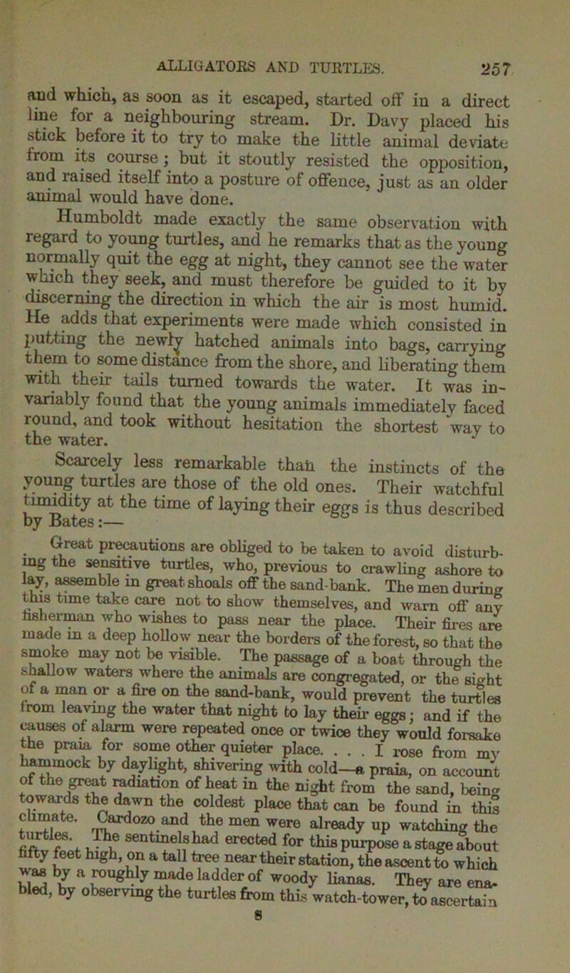 fuid which, as soon as it escaped, started off in a direct line for a neighbouring stream. Dr. Davy placed his stick before it to try to make the little animal deviate from its course ; but it stoutly resisted the opposition, and raised itself into a posture of offence, just as an older animal would have done. Humboldt made exactly the same observation with regard to young turtles, and he remarks that as the young normally quit the egg at night, they cannot see the water winch they seek, and must therefore be guided to it by discerning the direction in which the air is most humid. He adds that experiments were made which consisted in putting the newly hatched animals into bags, carrying them to some distance from the shore, and liberating them with their tails turned towards the water. It was in- variably found that the young animals immediately faced round, and took without hesitation the shortest way to the water. Scarcely less remarkable than the instincts of the young turtles are those of the old ones. Their watchful byBates^ ^ timG °f laying their egSs is thus described Great precautions are obliged to be taken to avoid disturb- ing the sensitive turtles, who, previous to crawling ashore to fay, assemble in great shoals off the sand bank. The men during this time take care not to show themselves, and warn off anv fisherman who wishes to pass near the place. Their fires are made in a deep hollow near the borders of the forest, so that the smoke may not be visible. The passage of a boat through the shallow waters where the animals are congregated, or the sight of a man or a fire on the sand-bank, would prevent the turtles Irom leaving the water that night to lay their eggs : and if the wiuses of alarm were repeated once or twice they would forsake the pram for some other quieter place. ... I rose from my hammock by daylight, shivering with cold—a praia, on account of the great radiation of heat in the night from the sand, bein- towards the dawn the coldest place that can be found in this cbmate. Cardozo and the men were already up watching the Jhi? sentme!fhad erected this purpose a stage about fifty feet high, on a tall tree near their station, the ascent to which was by a roughly made ladder of woody lianas. They are ena- bled, by observing the turtles from this watch-tower, to ascertain