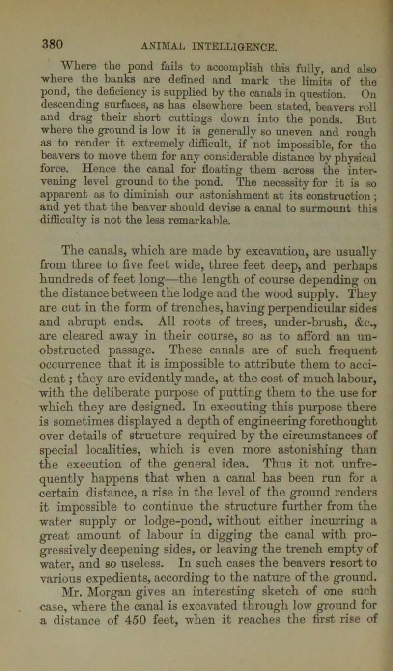Where the pond fails to accomplish this fully, and also where the banks are defined and mark the limits of the pond, the deficiency is supplied by the canals in question. On descending surfaces, as has elsewhere been stated, beavers roll and drag their short cuttings down into the ponds. But where the ground is low it is generally so uneven and rough as to render it extremely difficult, if not impossible, for the beavers to move them for any considerable distance by physical force. Hence the canal for floating them across the inter- vening level ground to the pond. The necessity for it is so apparent as to diminish our astonishment at its construction ; and yet that the beaver should devise a canal to surmount this difficulty is not the less remarkable. The canals, which are made by excavation, are usually from three to five feet wide, three feet deep, and perhaps hundreds of feet long—the length of course depending on the distance between the lodge and the wood supply. They are cut in the form of trenches, having perpendicular sides and abrupt ends. All roots of trees, under-brush, &c., are cleared away in their course, so as to afford an un- obstructed passage. These canals are of such frequent occurrence that it is impossible to attribute them to acci- dent ; they are evidently made, at the cost of much labour, with the deliberate purpose of putting them to the use for which they are designed. In executing this purpose there is sometimes displayed a depth of engineering forethought over details of structure required by the circumstances of special localities, which is even more astonishing than the execution of the general idea. Thus it not unfre- quently happens that when a canal has been run for a certain distance, a rise in the level of the ground renders it impossible to continue the structure further from the water supply or lodge-pond, without either incurring a great amount of labour in digging the canal with pro- gressively deepening sides, or leaving the trench empty of water, and so useless. In such cases the beavers resort to various expedients, according to the nature of the ground. Mr. Morgan gives an interesting sketch of one such case, where the canal is excavated through low ground for a distance of 450 feet, when it reaches the first rise of