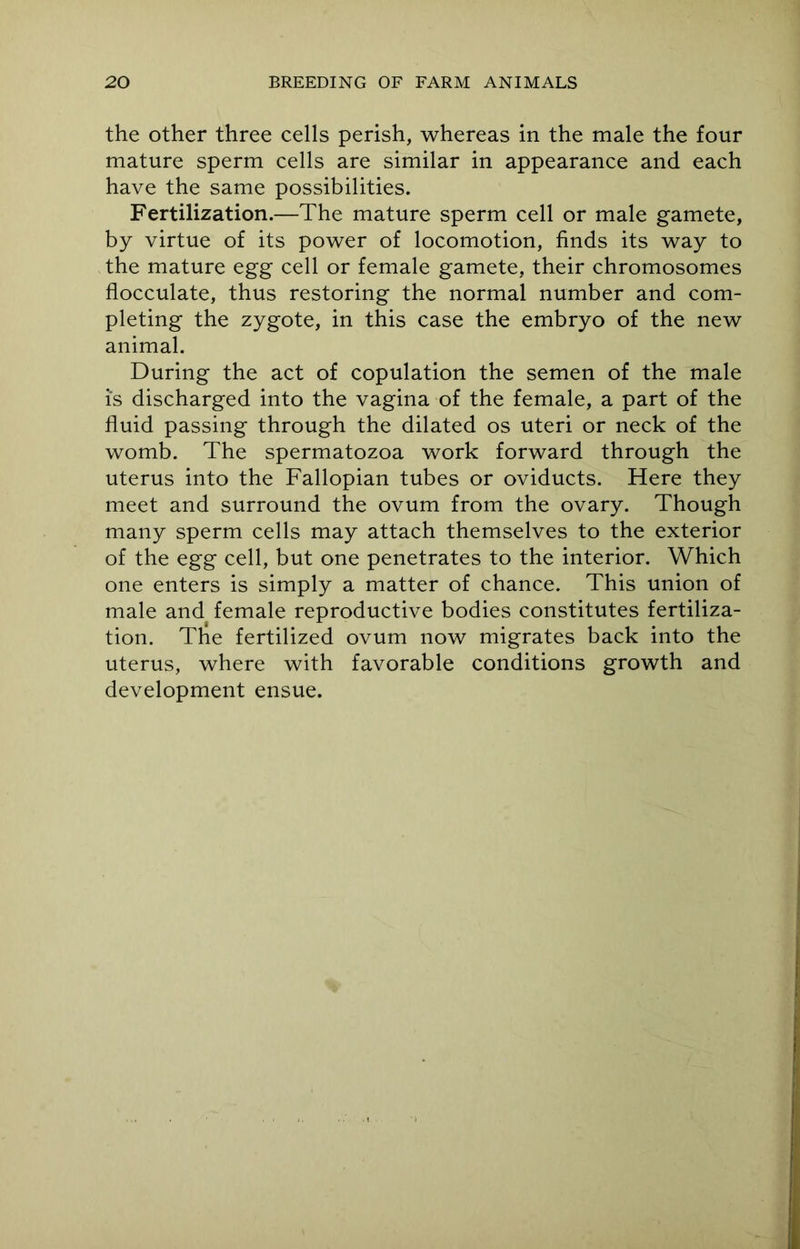 the other three cells perish, whereas in the male the four mature sperm cells are similar in appearance and each have the same possibilities. Fertilization.—The mature sperm cell or male gamete, by virtue of its power of locomotion, finds its way to the mature egg cell or female gamete, their chromosomes flocculate, thus restoring the normal number and com- pleting the zygote, in this case the embryo of the new animal. During the act of copulation the semen of the male is discharged into the vagina of the female, a part of the fluid passing through the dilated os uteri or neck of the womb. The spermatozoa work forward through the uterus into the Fallopian tubes or oviducts. Here they meet and surround the ovum from the ovary. Though many sperm cells may attach themselves to the exterior of the egg cell, but one penetrates to the interior. Which one enters is simply a matter of chance. This union of male and female reproductive bodies constitutes fertiliza- tion. The fertilized ovum now migrates back into the uterus, where with favorable conditions growth and development ensue.