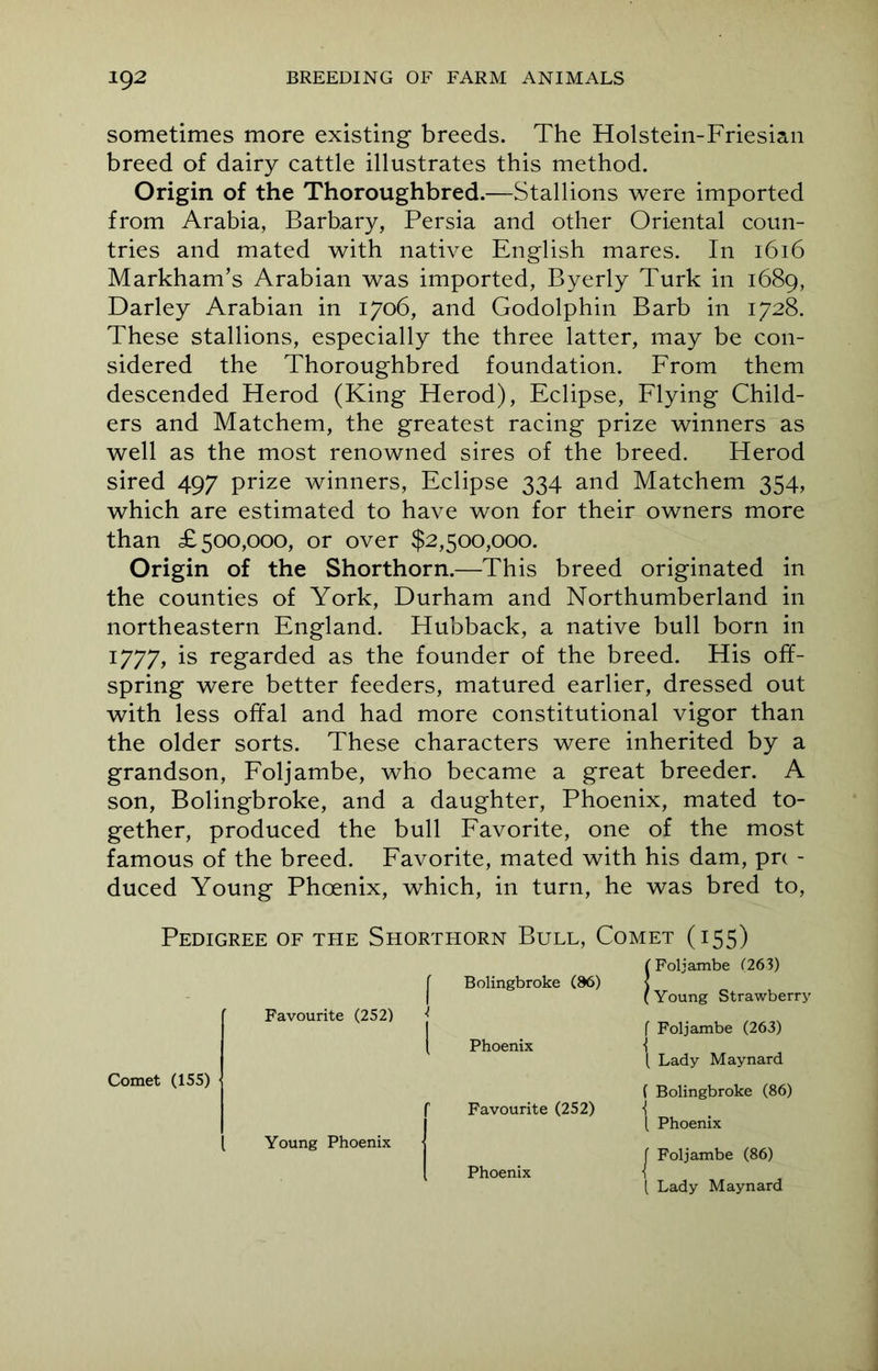 sometimes more existing breeds. The Holstein-Friesian breed of dairy cattle illustrates this method. Origin of the Thoroughbred.—Stallions were imported from Arabia, Barbary, Persia and other Oriental coun- tries and mated with native English mares. In 1616 Markham’s Arabian was imported, Byerly Turk in 1689, Darley Arabian in 1706, and Godolphin Barb in 1728. These stallions, especially the three latter, may be con- sidered the Thoroughbred foundation. From them descended Herod (King Herod), Eclipse, Flying Child- ers and Matchem, the greatest racing prize winners as well as the most renowned sires of the breed. Herod sired 497 prize winners, Eclipse 334 and Matchem 354, which are estimated to have won for their owners more than £500,000, or over $2,500,000. Origin of the Shorthorn.—This breed originated in the counties of York, Durham and Northumberland in northeastern England. Hubback, a native bull born in 1777, is regarded as the founder of the breed. His off- spring were better feeders, matured earlier, dressed out with less offal and had more constitutional vigor than the older sorts. These characters were inherited by a grandson, Foljambe, who became a great breeder. A son, Bolingbroke, and a daughter, Phoenix, mated to- gether, produced the bull Favorite, one of the most famous of the breed. Favorite, mated with his dam, prt - duced Young Phoenix, which, in turn, he was bred to, Pedigree of the Shorthorn Bull, Comet (155) Foljambe (263) Bolingbroke (86) Young Strawberry Favourite (252) \ Foljambe (263) l Lady Maynard ( Bolingbroke (86) \ Phoenix Comet (155) Favourite (252) ( Phoenix Young Phoenix | Foljambe (86) { Lady Maynard Phoenix