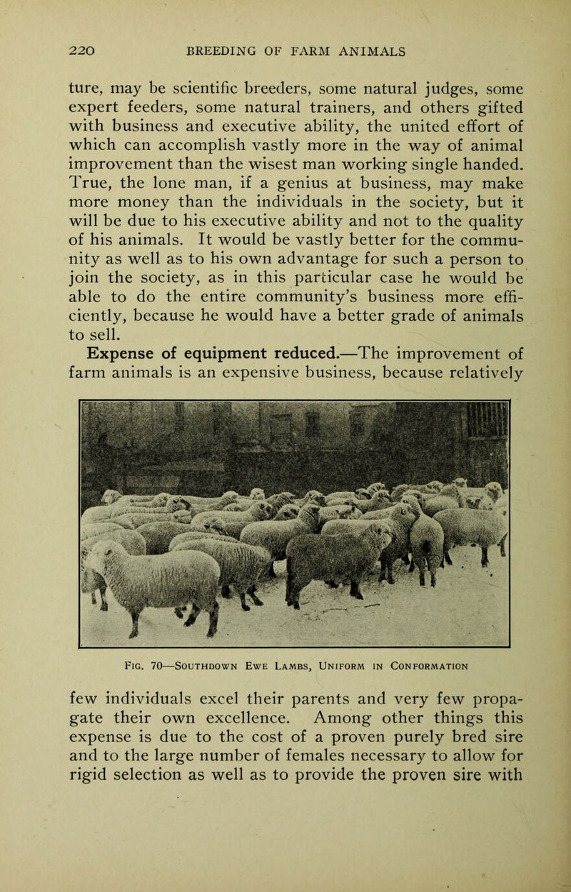 ture, may be scientific breeders, some natural judges, some expert feeders, some natural trainers, and others gifted with business and executive ability, the united effort of which can accomplish vastly more in the way of animal improvement than the wisest man working single handed. True, the lone man, if a genius at business, may make more money than the individuals in the society, but it will be due to his executive ability and not to the quality of his animals. It would be vastly better for the commu- nity as well as to his own advantage for such a person to join the society, as in this particular case he would be able to do the entire community’s business more effi- ciently, because he would have a better grade of animals to sell. Expense of equipment reduced.—The improvement of farm animals is an expensive business, because relatively Fig. 70—Southdown Ewe Lambs, Uniform in Conformation few individuals excel their parents and very few propa- gate their own excellence. Among other things this expense is due to the cost of a proven purely bred sire and to the large number of females necessary to allow for rigid selection as well as to provide the proven sire with