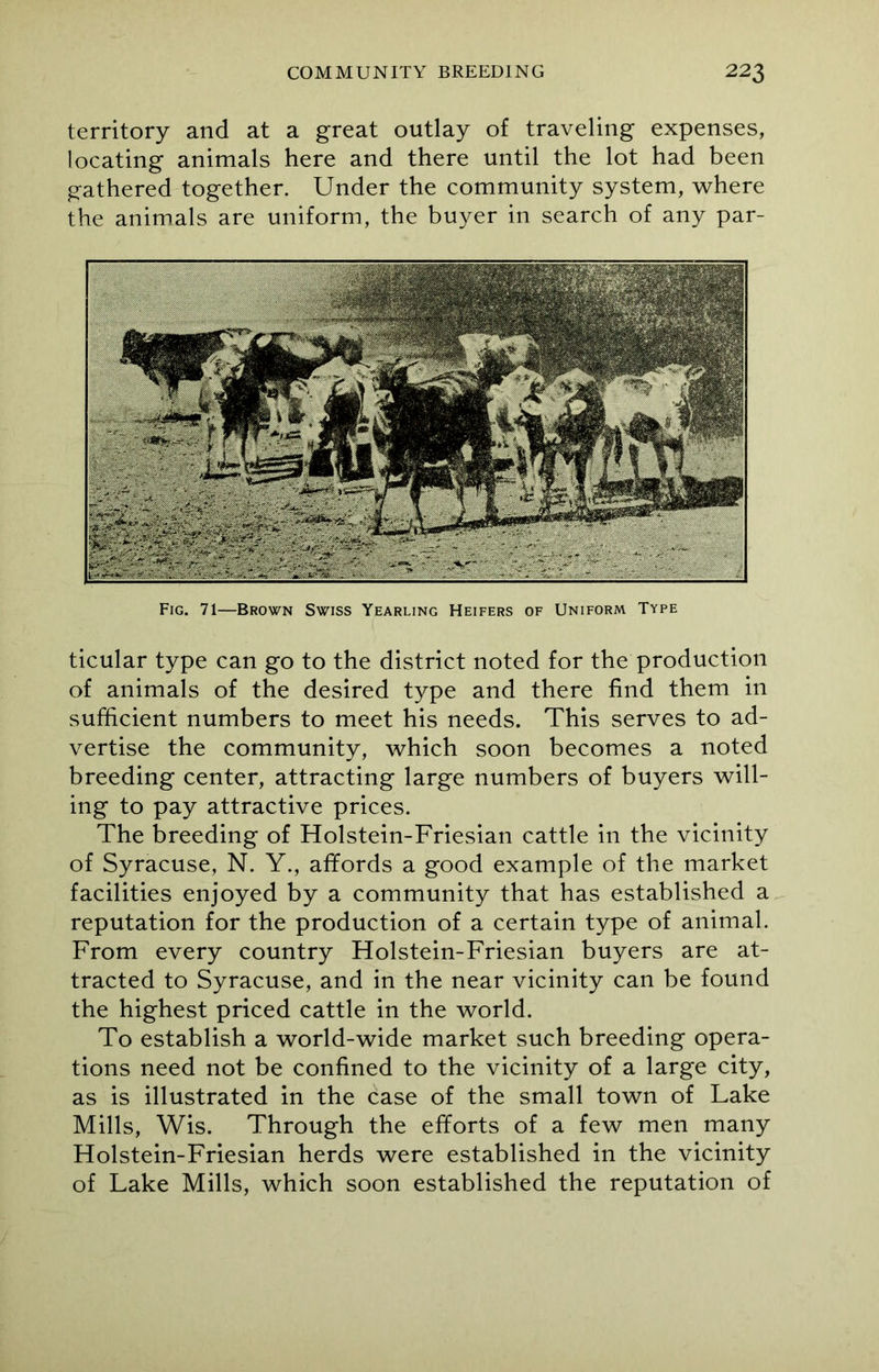 territory and at a great outlay of traveling expenses, locating animals here and there until the lot had been gathered together. Under the community system, where the animals are uniform, the buyer in search of any par- Fig. 71—Brown Swiss Yearling Heifers of Uniform Type ticular type can go to the district noted for the production of animals of the desired type and there find them in sufficient numbers to meet his needs. This serves to ad- vertise the community, which soon becomes a noted breeding center, attracting large numbers of buyers will- ing to pay attractive prices. The breeding of Holstein-Friesian cattle in the vicinity of Syracuse, N. Y., affords a good example of the market facilities enjoyed by a community that has established a reputation for the production of a certain type of animal. From every country Flolstein-Friesian buyers are at- tracted to Syracuse, and in the near vicinity can be found the highest priced cattle in the world. To establish a world-wide market such breeding opera- tions need not be confined to the vicinity of a large city, as is illustrated in the case of the small town of Lake Mills, Wis. Through the efforts of a few men many Holstein-Friesian herds were established in the vicinity of Lake Mills, which soon established the reputation of