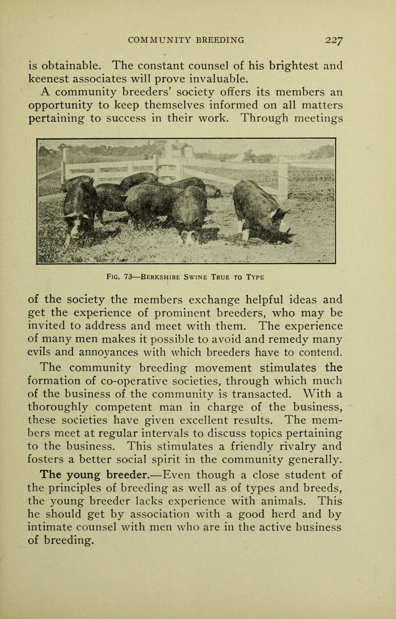 is obtainable. The constant counsel of his brightest and keenest associates will prove invaluable. A community breeders’ society offers its members an opportunity to keep themselves informed on all matters pertaining to success in their work. Through meetings Fig. 73—Berkshire Swine True to Type of the society the members exchange helpful ideas and get the experience of prominent breeders, who may be invited to address and meet with them. The experience of many men makes it possible to avoid and remedy many evils and annoyances with which breeders have to contend. The community breeding movement stimulates the formation of co-operative societies, through which much of the business of the community is transacted. With a thoroughly competent man in charge of the business, these societies have given excellent results. The mem- bers meet at regular intervals to discuss topics pertaining to the business. This stimulates a friendly rivalry and fosters a better social spirit in the community generally. The young breeder.—Even though a close student of the principles of breeding as well as of types and breeds, the young breeder lacks experience with animals. This he should get by association with a good herd and by intimate counsel with men who are in the active business of breeding.