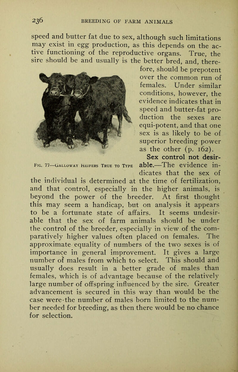 speed and butter fat due to sex, although such limitations may exist in egg production, as this depends on the ac- tive functioning of the reproductive organs. True, the sire should be and usually is the better bred, and, there- fore, should be prepotent over the common run of females. Under similar conditions, however, the evidence indicates that in speed and butter-fat pro- duction the sexes are equi-potent, and that one sex is as likely to be of superior breeding power as the other (p. 162). Sex control not desir- able.—The evidence in- dicates that the sex of the individual is determined at the time of fertilization, and that control, especially in the higher animals, is beyond the power of the breeder. At first thought this may seem a handicap, but on analysis it appears to be a fortunate state of affairs. It seems undesir- able that the sex of farm animals should be under the control of the breeder, especially in view of the com- paratively higher values often placed on females. The approximate equality of numbers of the two sexes is of importance in general improvement. It gives a large number of males from which to select. This should and usually does result in a better grade of males than females, which is of advantage because of the relatively large number of offspring influenced by the sire. Greater advancement is secured in this way than would be the case were-the number of males born limited to the num- ber needed for breeding, as then there would be no chance for selection.