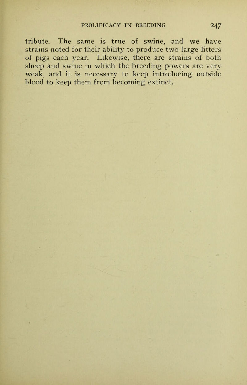 tribute. The same is true of swine, and we have strains noted for their ability to produce two large litters of pigs each year. Likewise, there are strains of both sheep and swine in which the breeding powers are very weak, and it is necessary to keep introducing outside blood to keep them from becoming extinct.