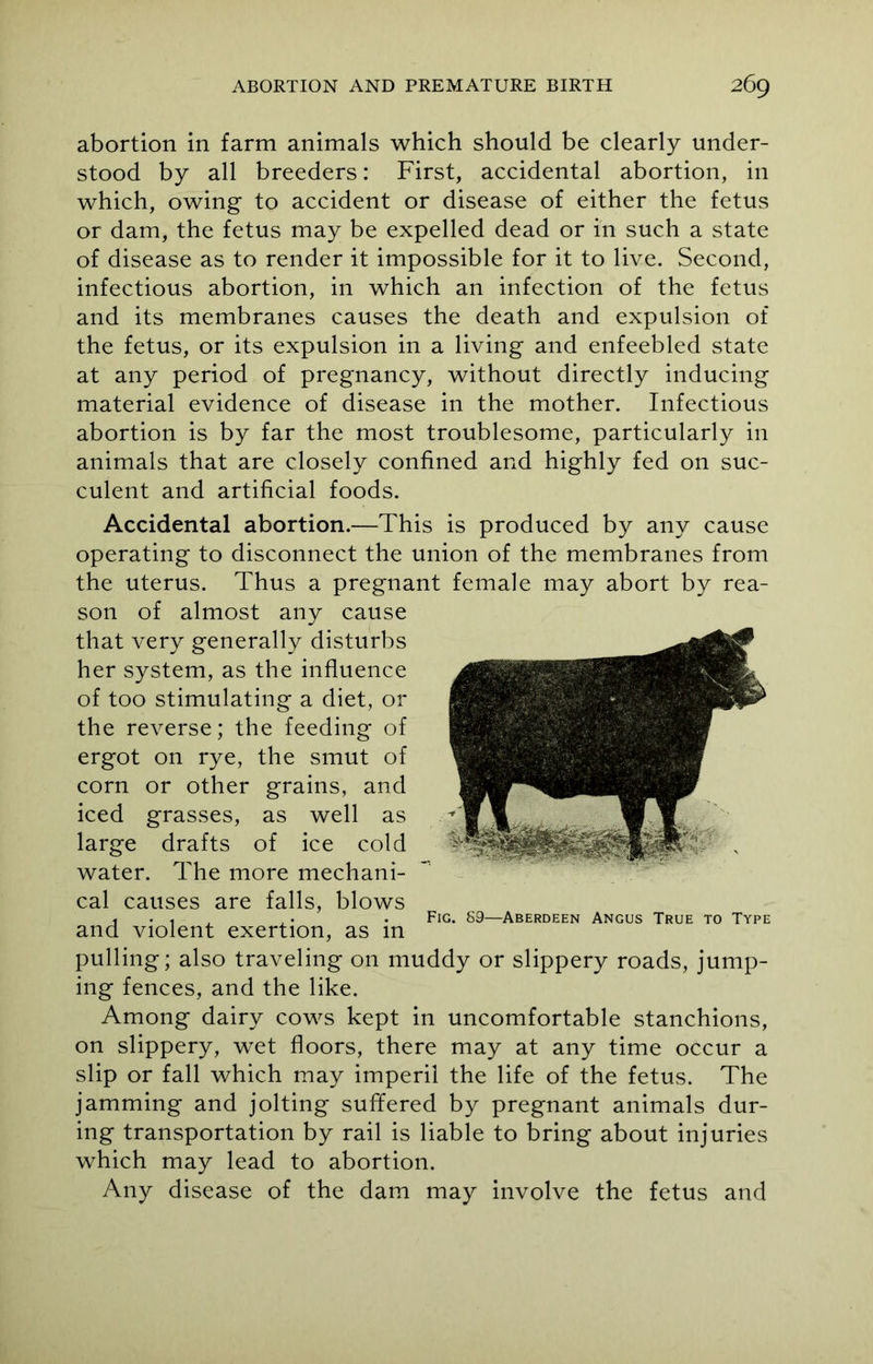 abortion in farm animals which should be clearly under- stood by all breeders: First, accidental abortion, in which, owing to accident or disease of either the fetus or dam, the fetus may be expelled dead or in such a state of disease as to render it impossible for it to live. Second, infectious abortion, in which an infection of the fetus and its membranes causes the death and expulsion of the fetus, or its expulsion in a living and enfeebled state at any period of pregnancy, without directly inducing material evidence of disease in the mother. Infectious abortion is by far the most troublesome, particularly in animals that are closely confined and highly fed on suc- culent and artificial foods. Accidental abortion.—This is produced by any cause operating to disconnect the union of the membranes from the uterus. Thus a pregnant female may abort by rea- son of almost any cause that very generally disturbs her system, as the influence of too stimulating a diet, or the reverse; the feeding of ergot on rye, the smut of corn or other grains, and iced grasses, as well as large drafts of ice cold water. The more mechani- cal causes are falls, blows and violent exertion, as in pulling; also traveling on muddy or slippery roads, jump- ing fences, and the like. Among dairy cows kept in uncomfortable stanchions, on slippery, wet floors, there may at any time occur a slip or fall which may imperil the life of the fetus. The jamming and jolting suffered by pregnant animals dur- ing transportation by rail is liable to bring about injuries which may lead to abortion. Any disease of the dam may involve the fetus and Fig. S9—Aberdeen Angus True to Type