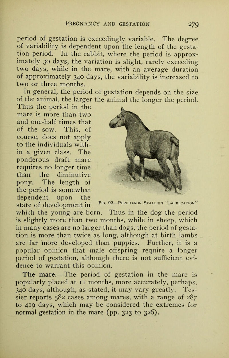 period of gestation is exceedingly variable. The degree of variability is dependent upon the length of the gesta- tion period. In the rabbit, where the period is approx- imately 30 days, the variation is slight, rarely exceeding two days, while in the mare, with an average duration of approximately 340 days, the variability is increased to two or three months. In general, the period of gestation depends on the size of the animal, the larger the animal the longer the period. Thus the period in the mare is more than two and one-half times that of the sow. This, of course, does not apply to the individuals with- in a given class. The ponderous draft mare requires no longer time than the diminutive pony. The length of the period is somewhat dependent upon the state of development in which the young are born. Thus in the dog the period is slightly more than two months, while in sheep, which in many cases are no larger than dogs, the period of gesta- tion is more than twice as long, although at birth lambs are far more developed than puppies. Further, it is a popular opinion that male offspring require a longer period of gestation, although there is not sufficient evi- dence to warrant this opinion. The mare.—The period of gestation in the mare is 340 days, although, as stated, it may vary greatly. Tes- sier reports 582 cases among mares, with a range of 287 to 419 days, which may be considered the extremes for normal gestation in the mare (pp. 323 to 326). Fig. 92—Percheron Stallion “Imprecation”